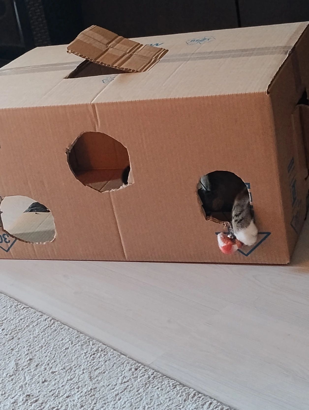 image-12