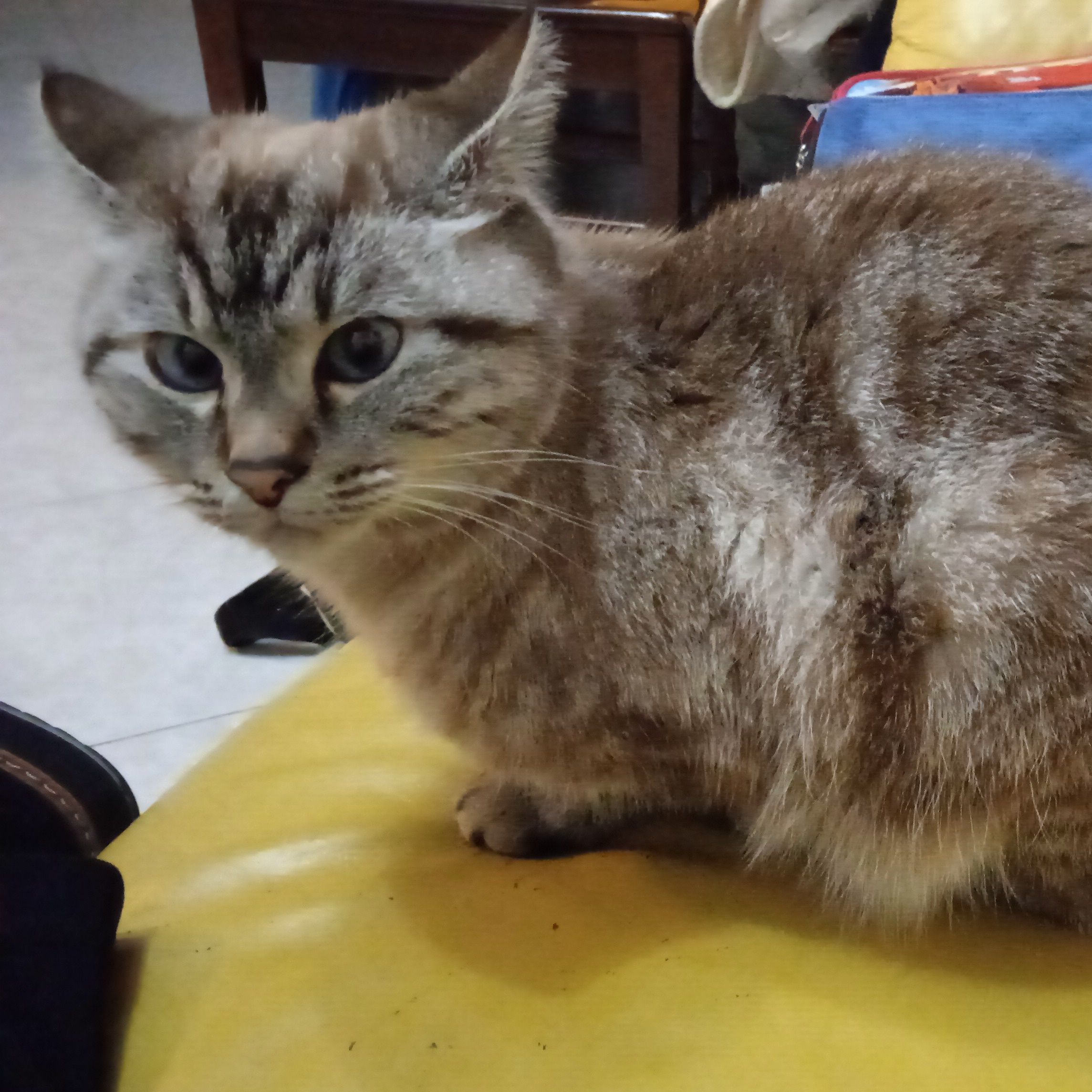 Luna