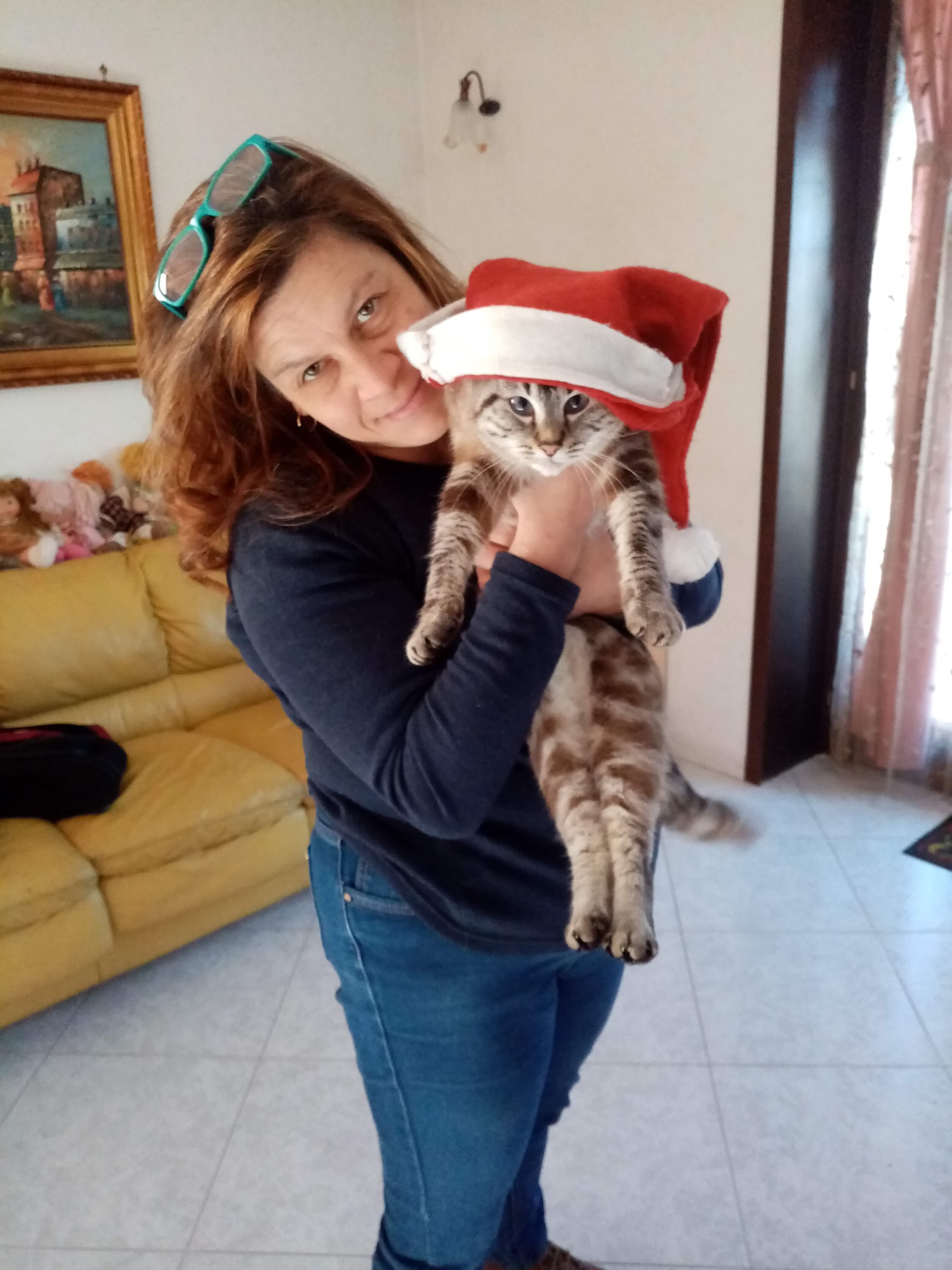 image-12