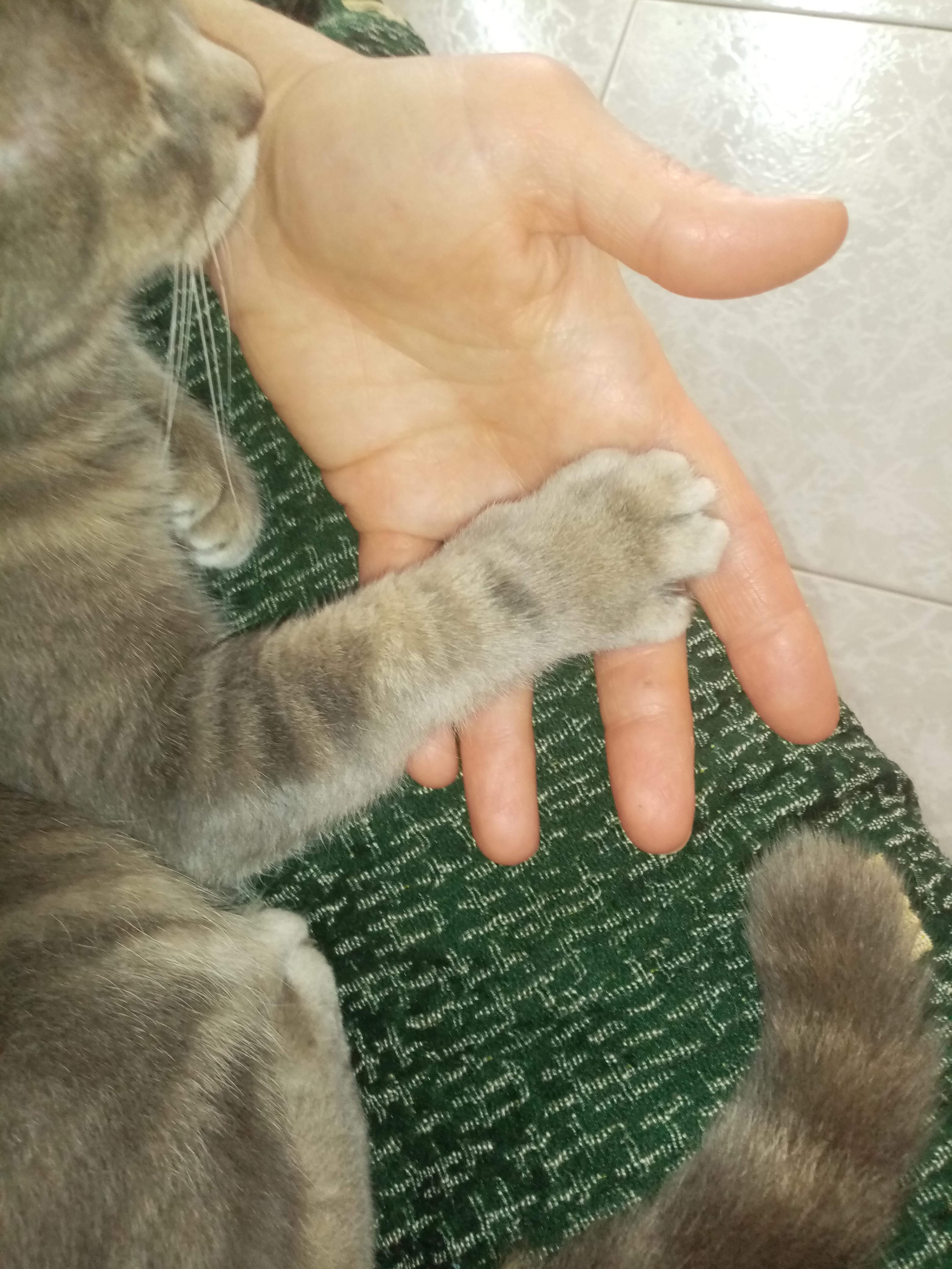image-7