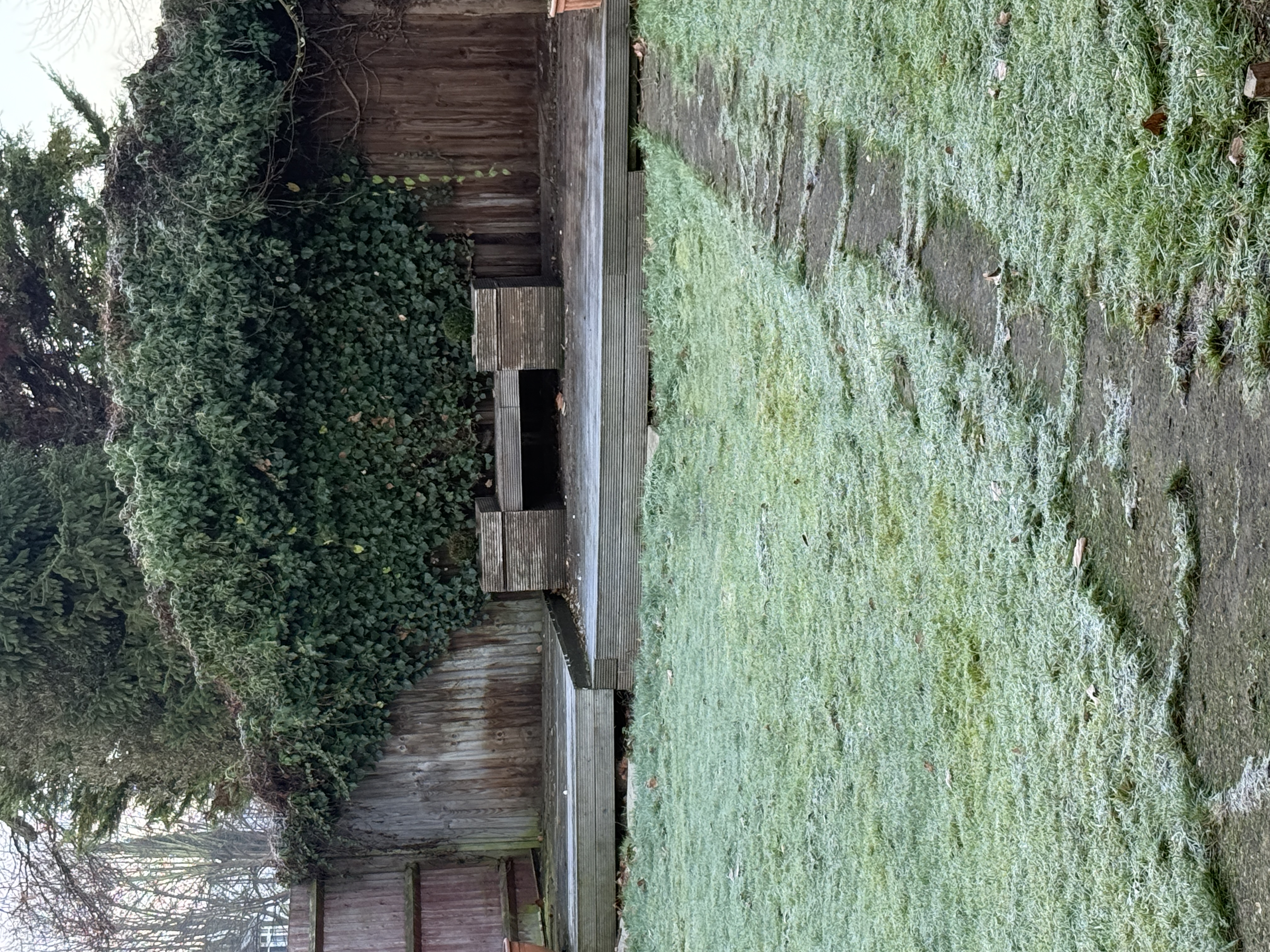 image-19