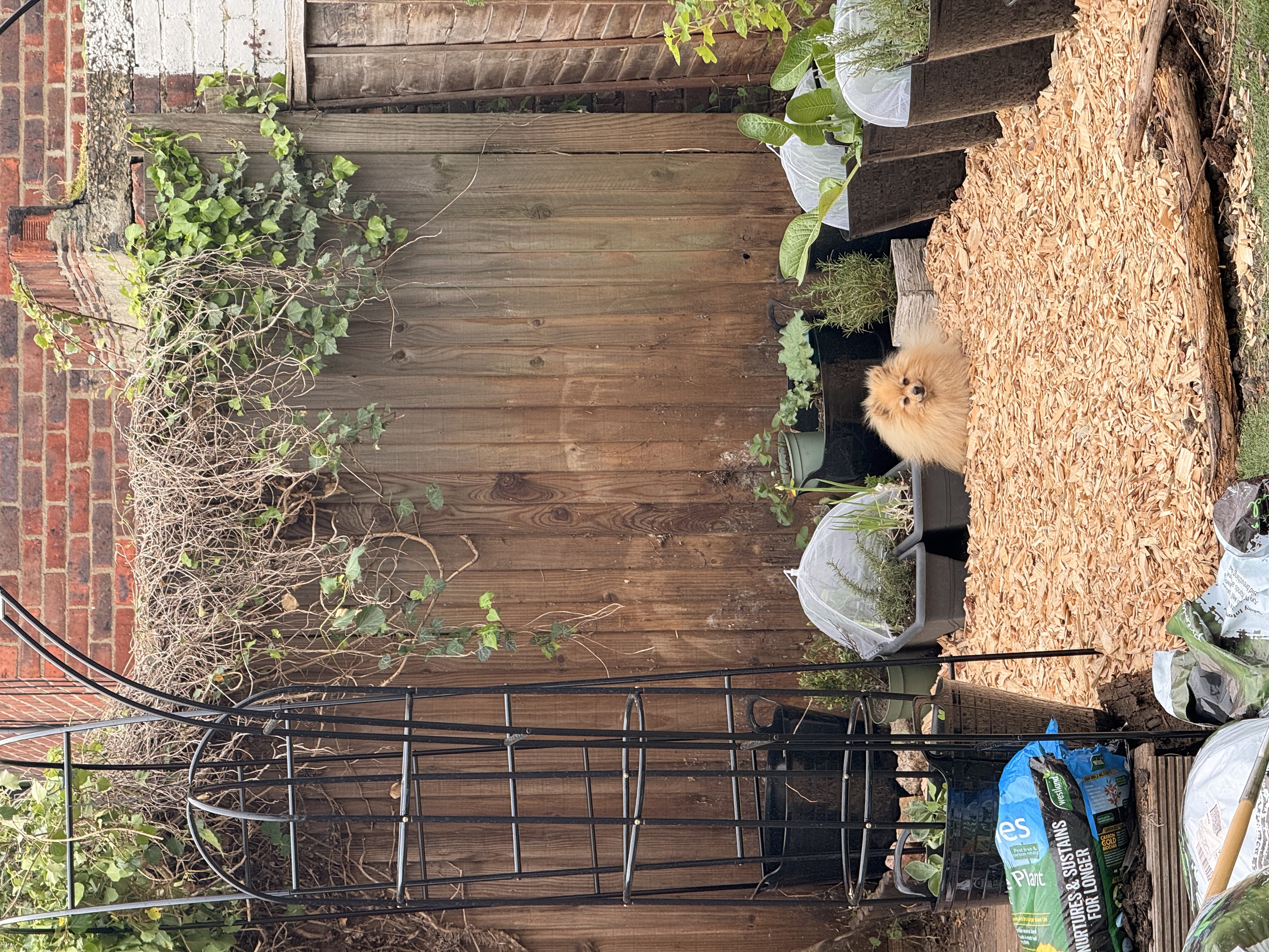 image-16