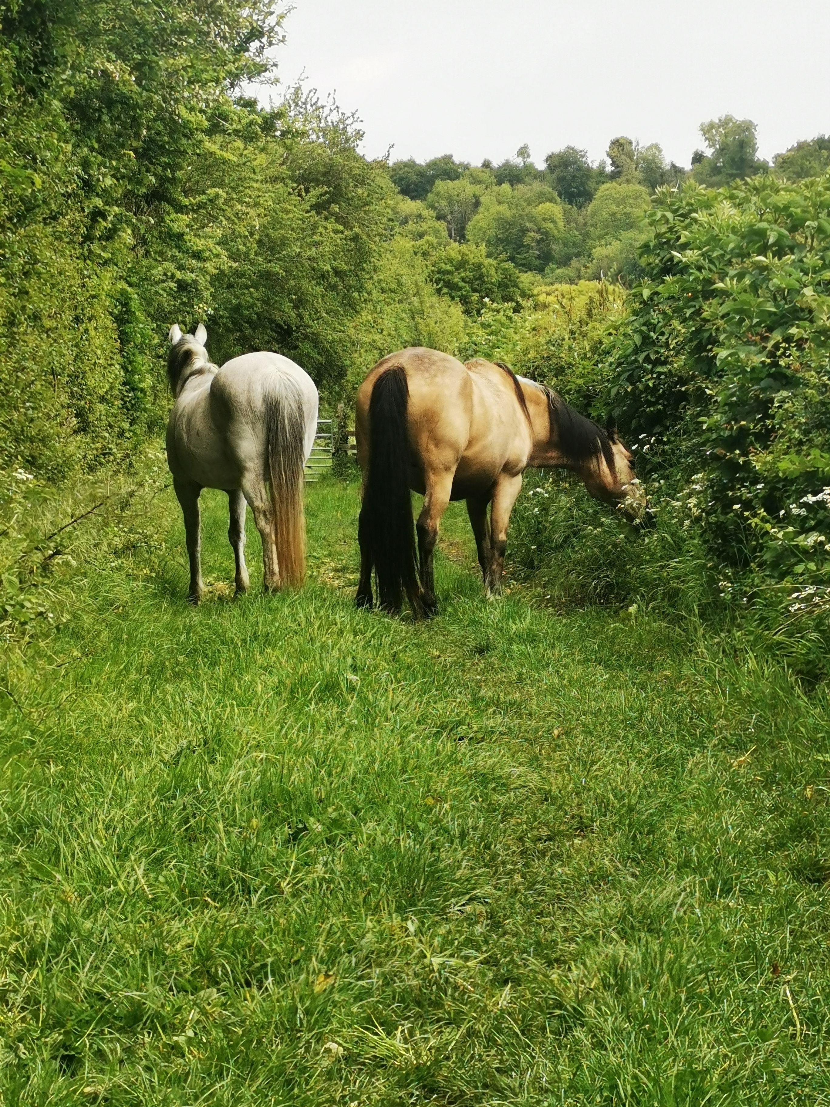 image-9
