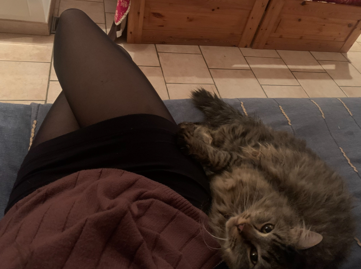 image-9
