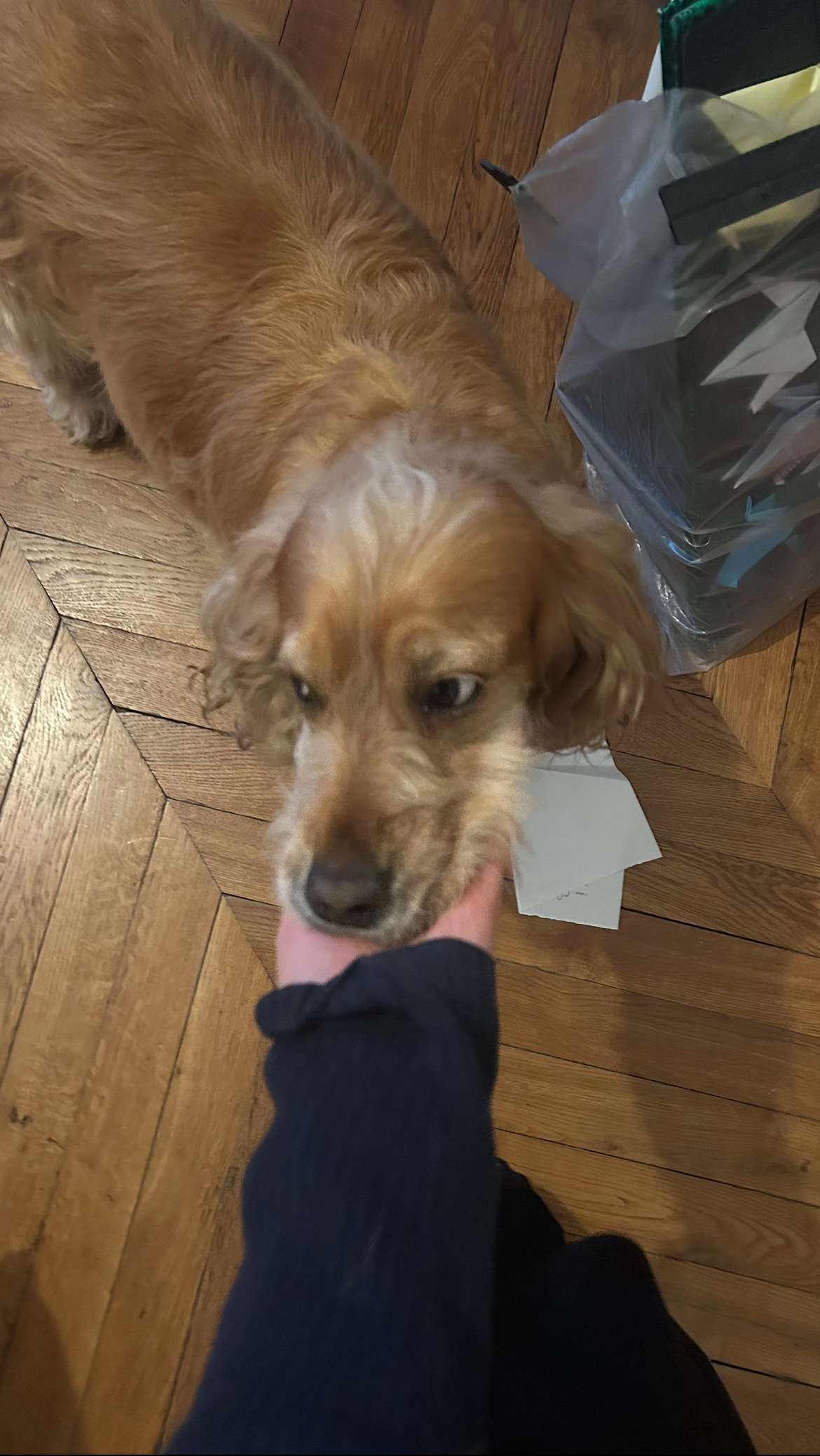 image-6