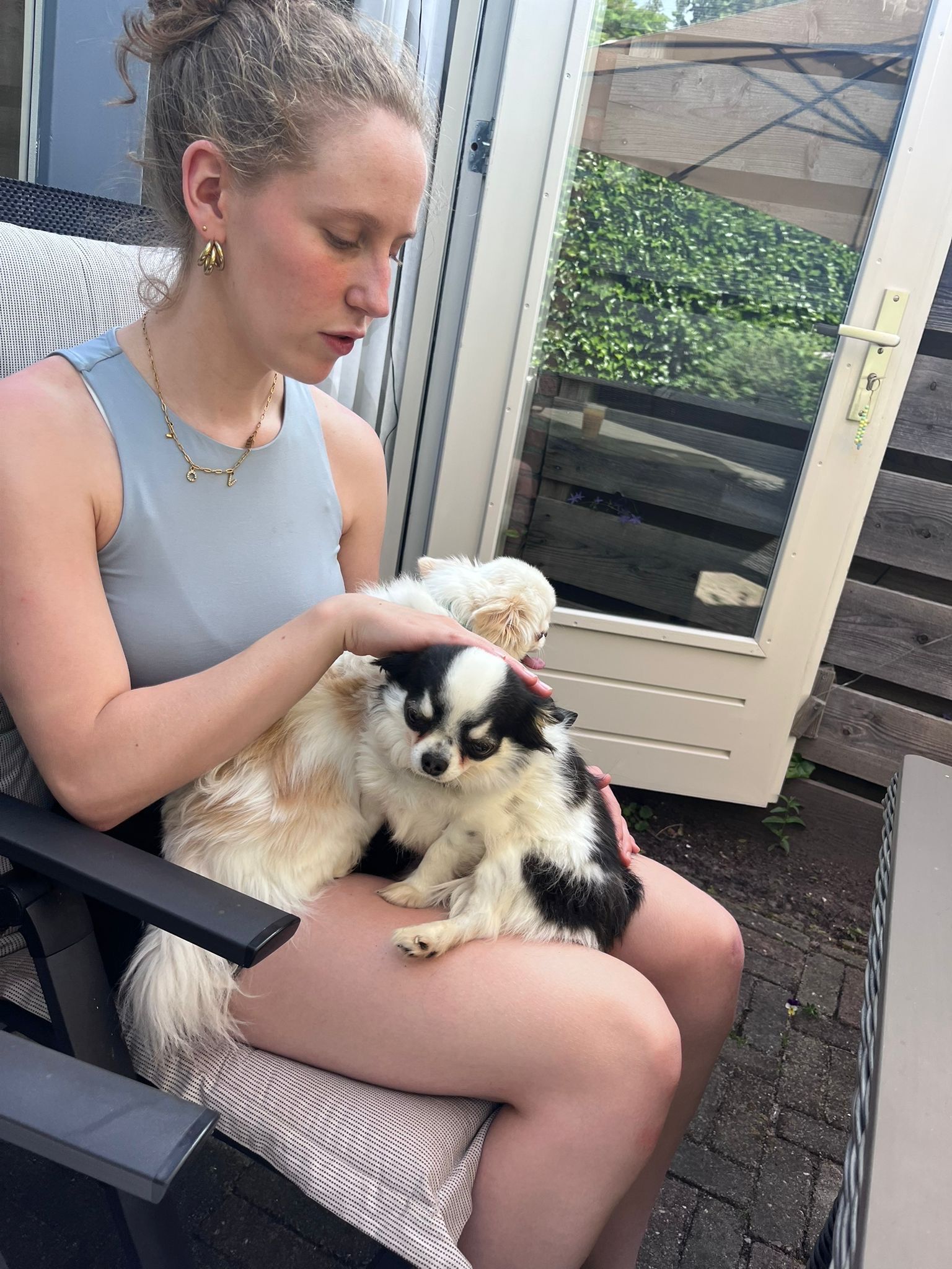 image-6