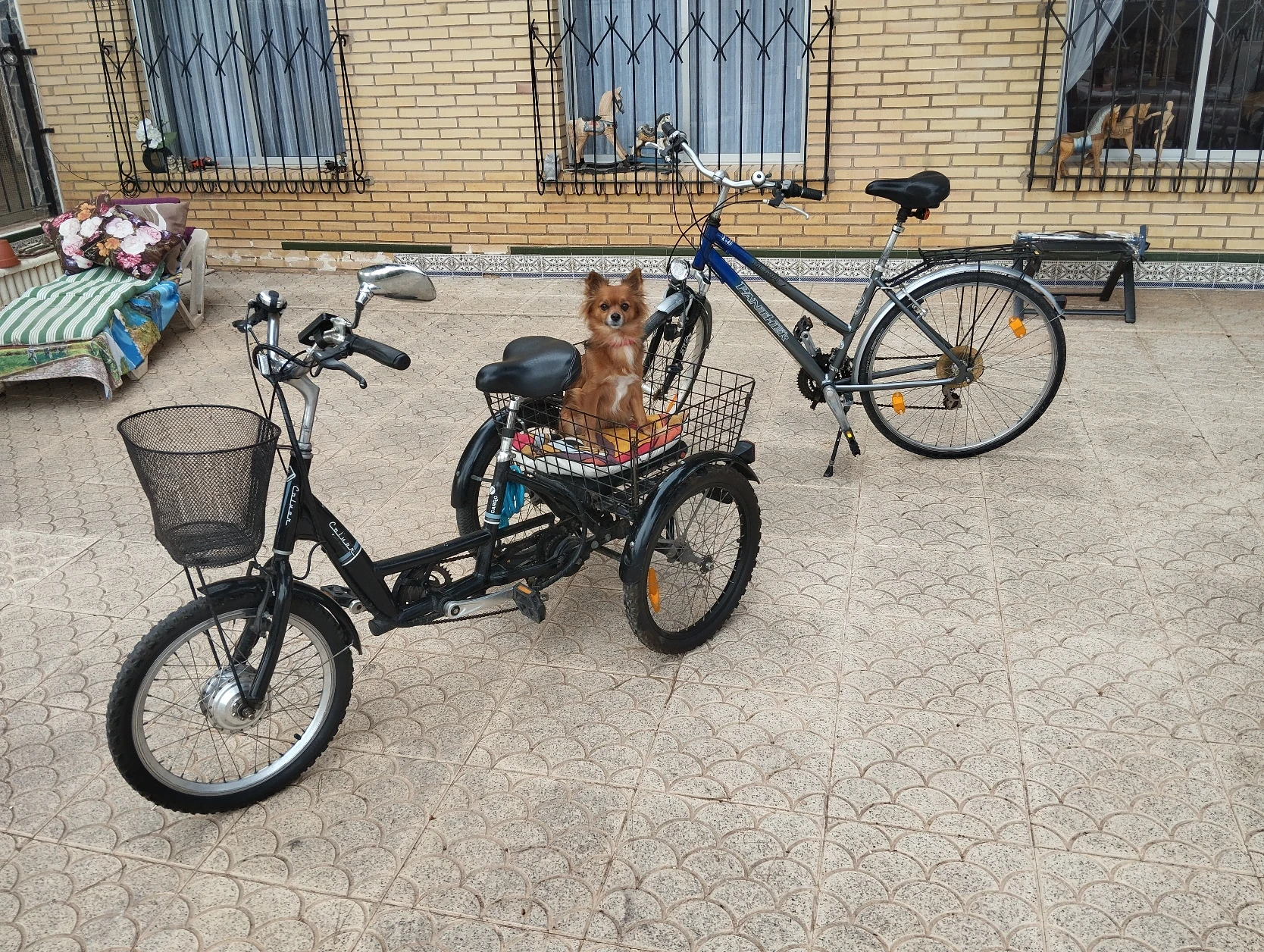 image-6