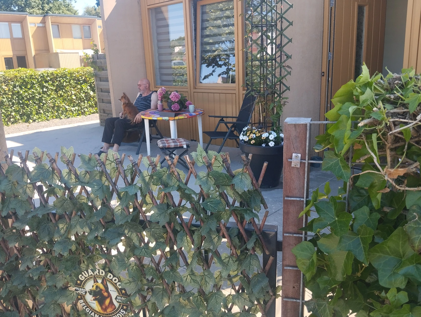 image-12
