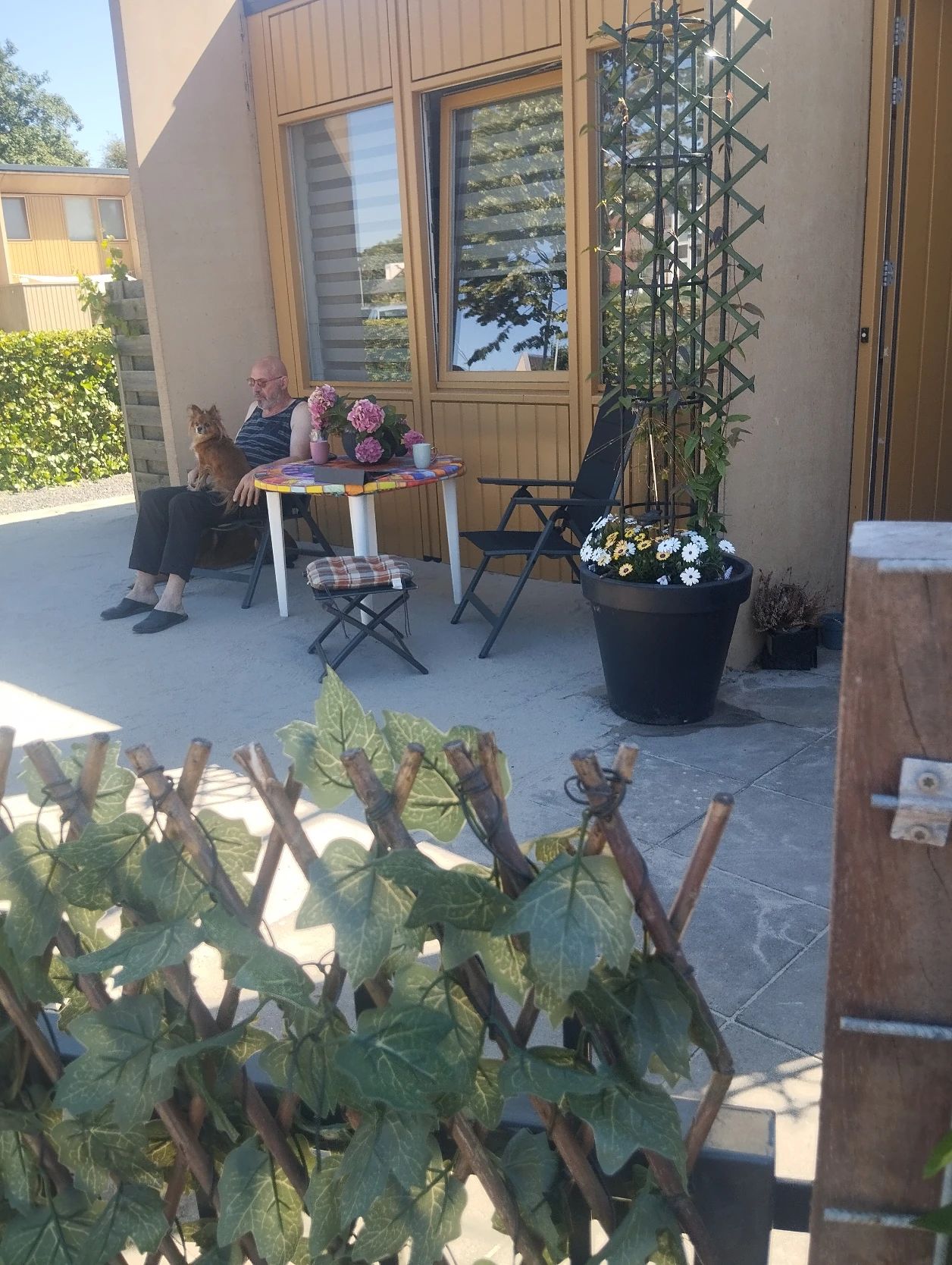 image-13