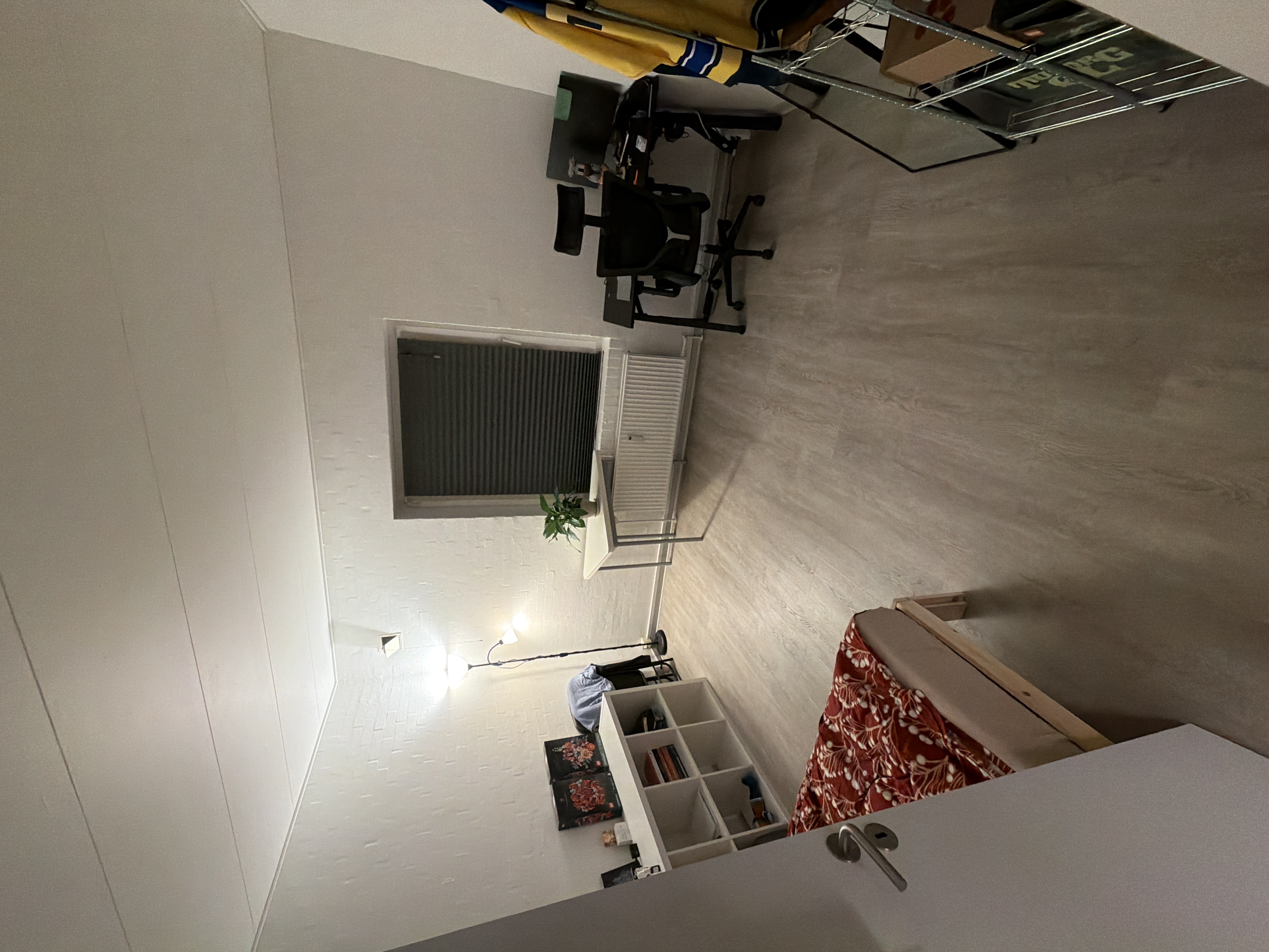 image-11