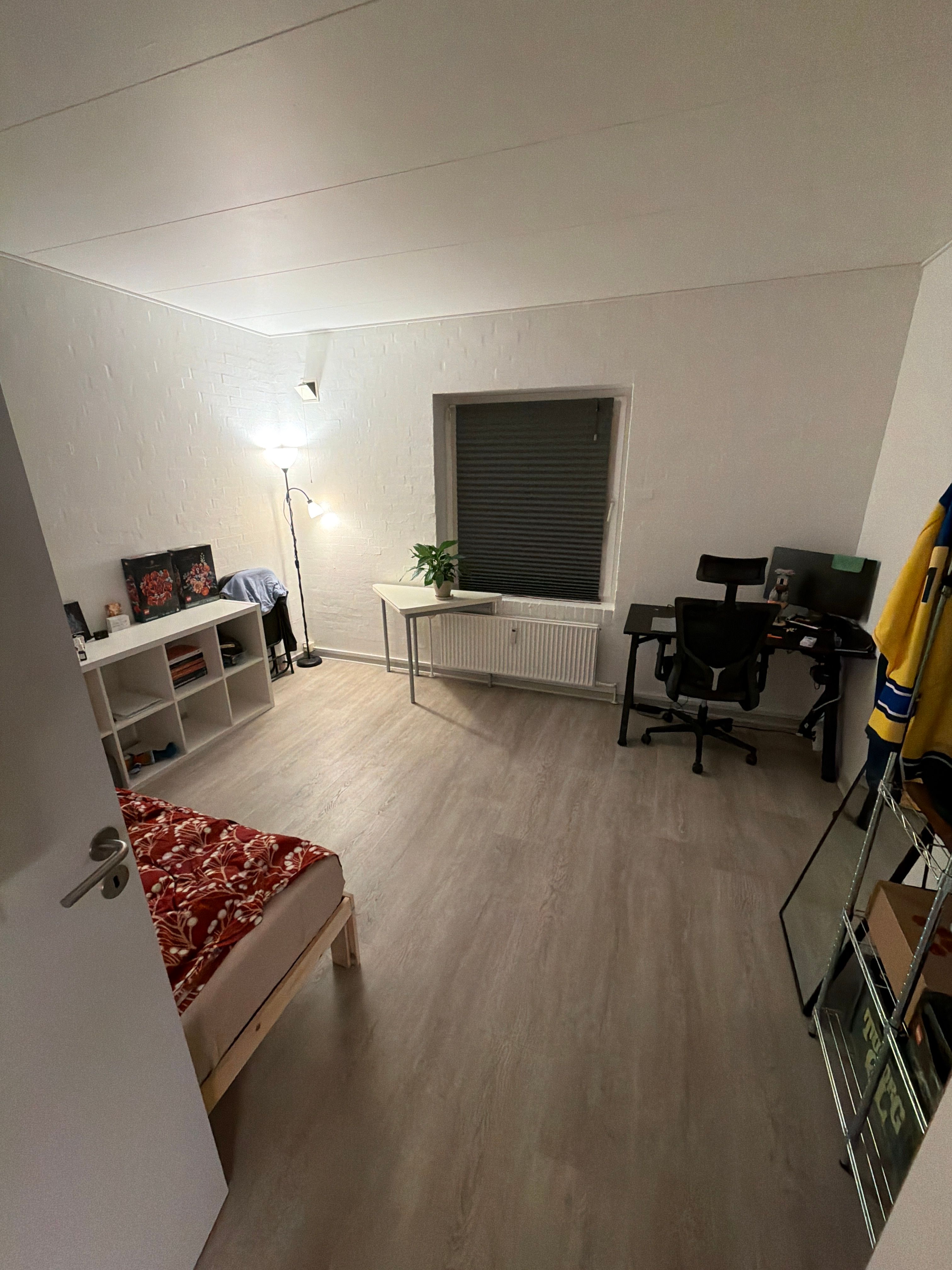 image-11