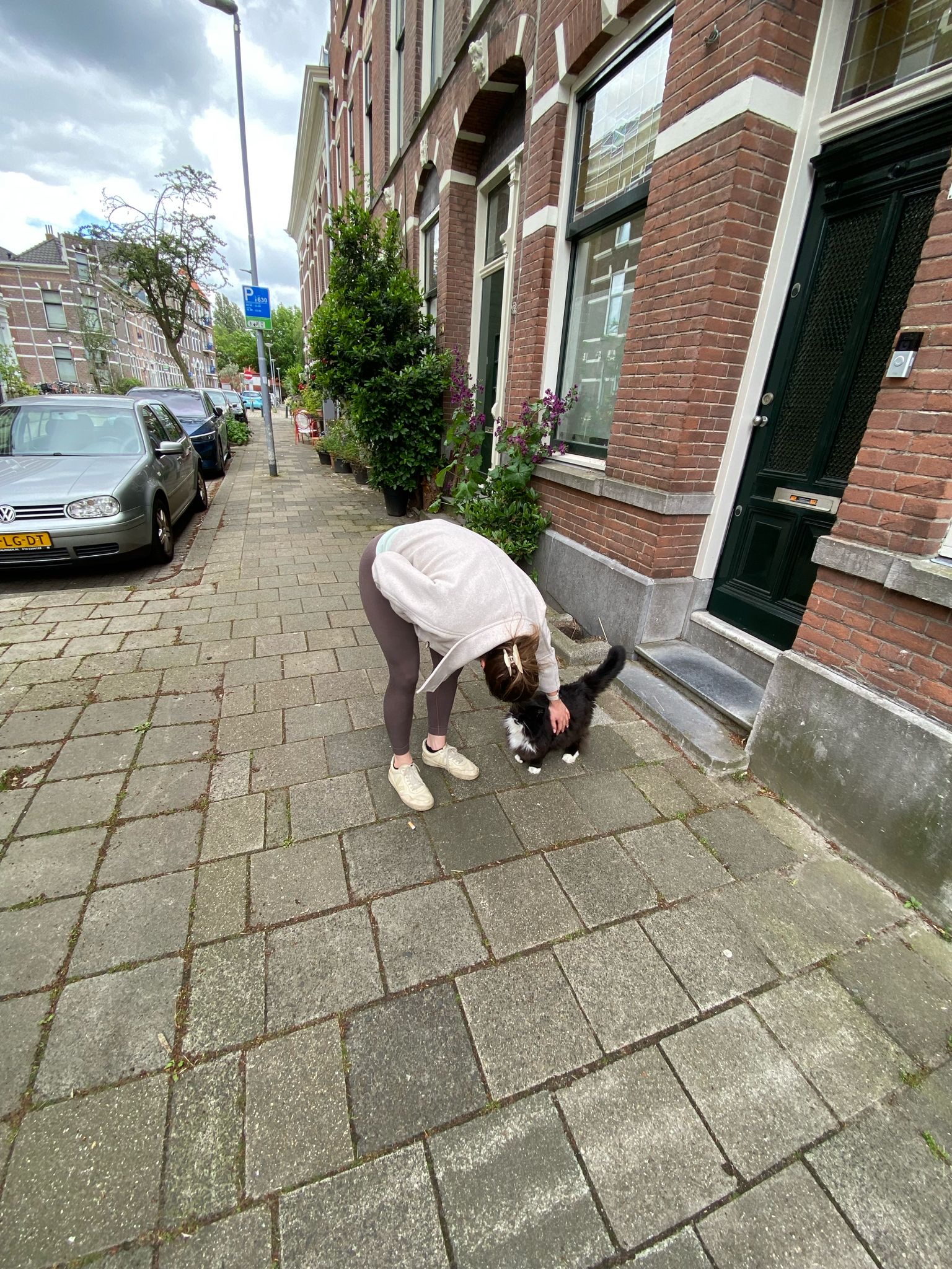 image-6