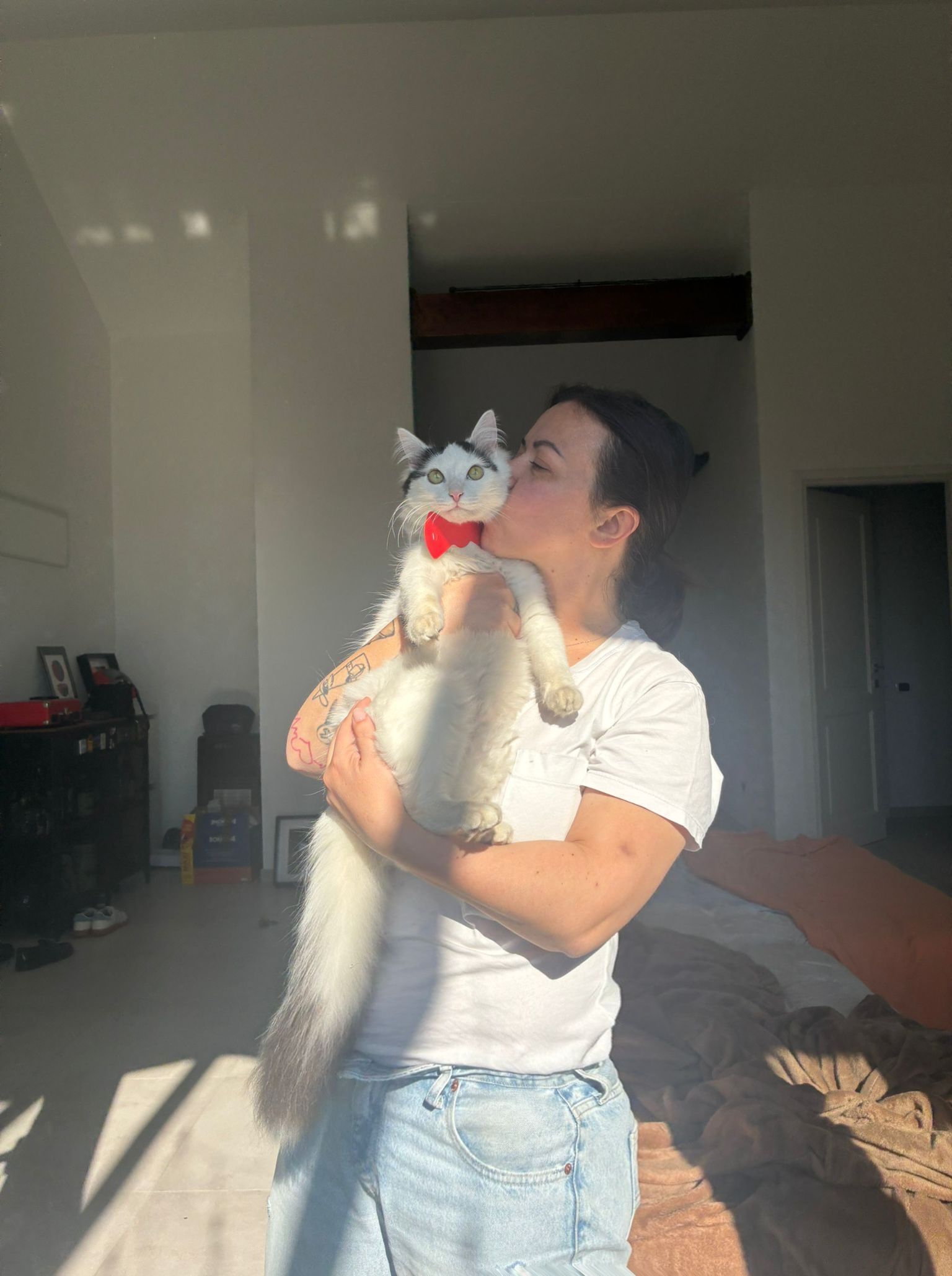 image-8
