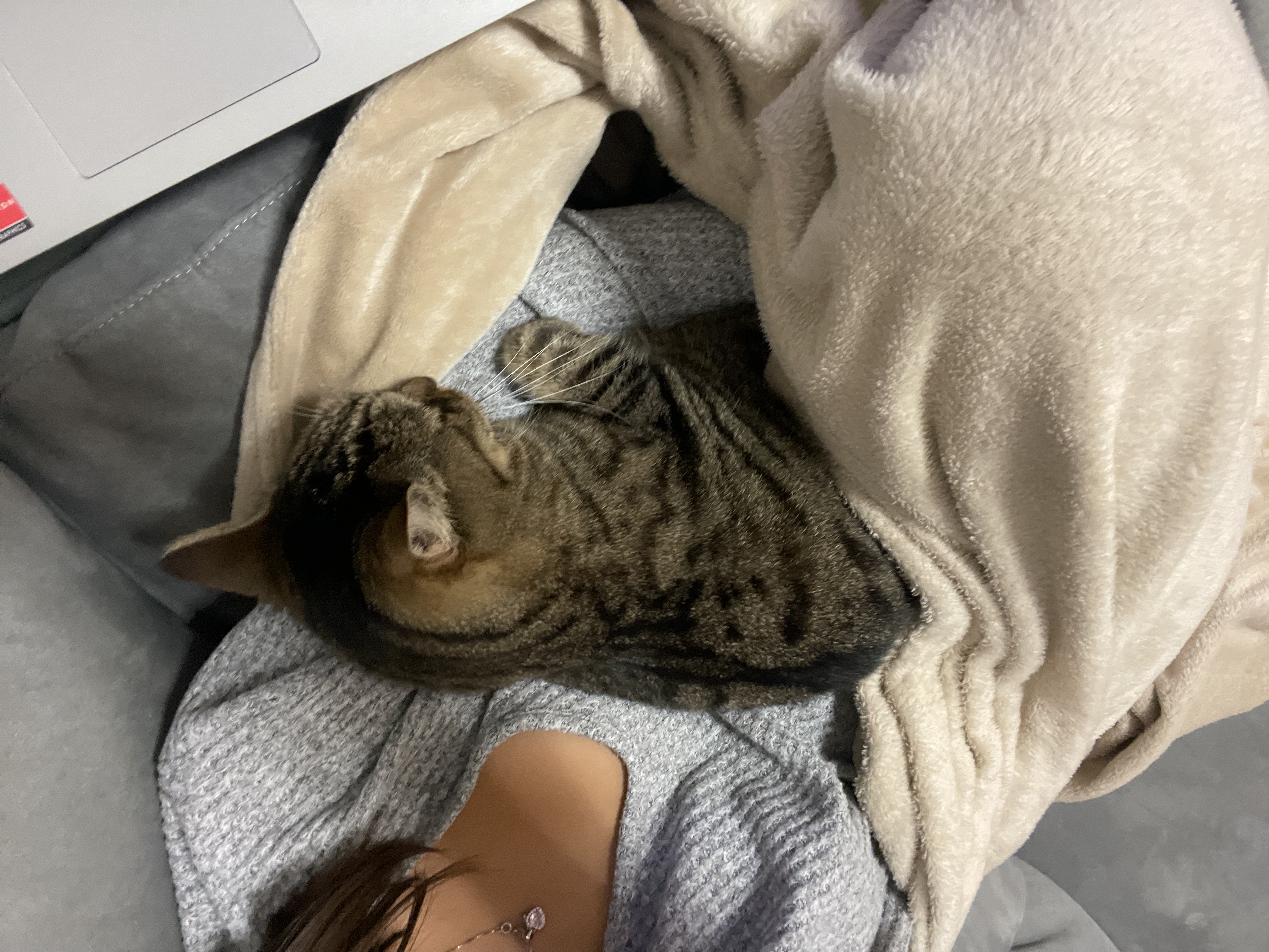image-6