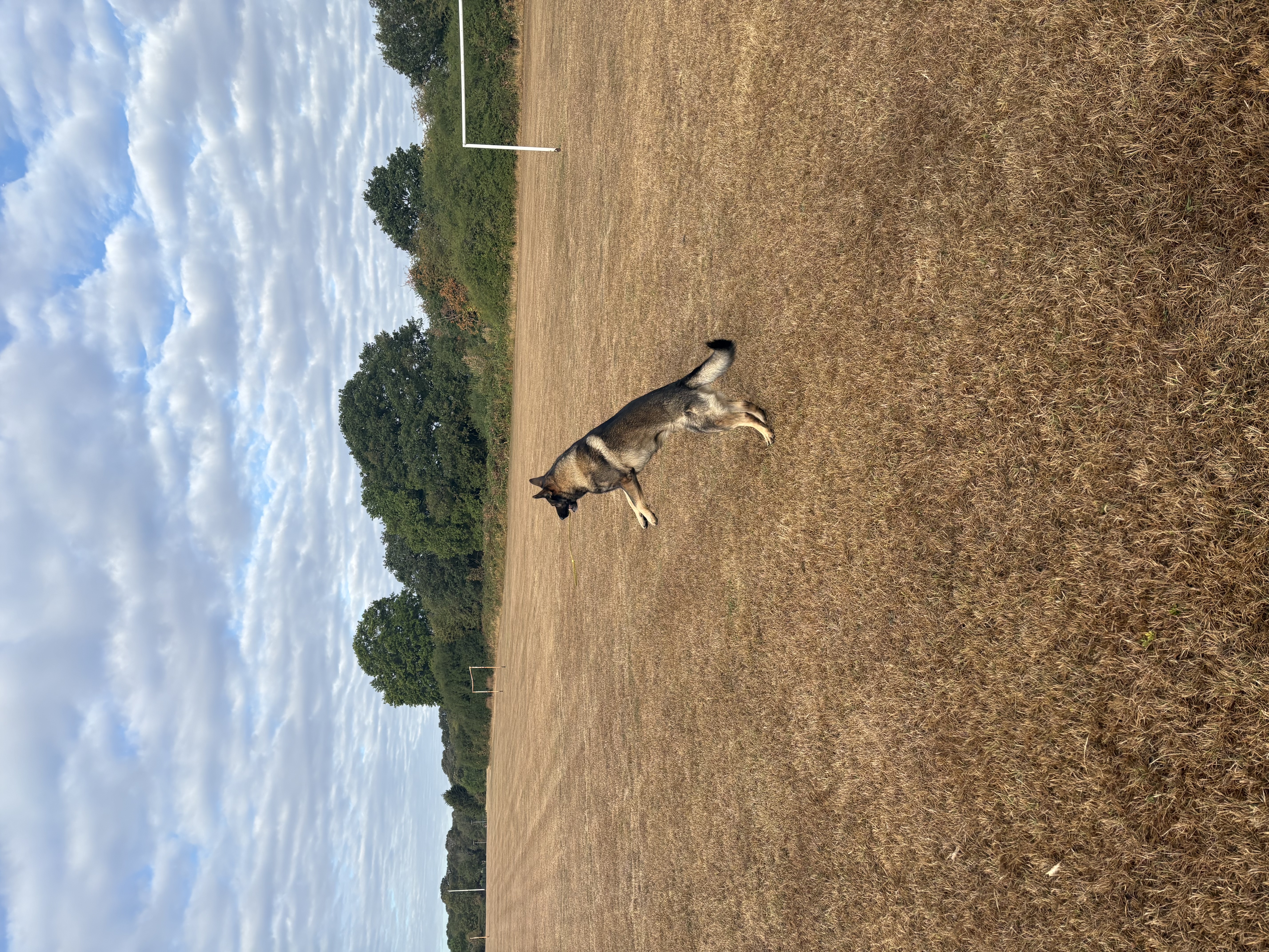 image-16