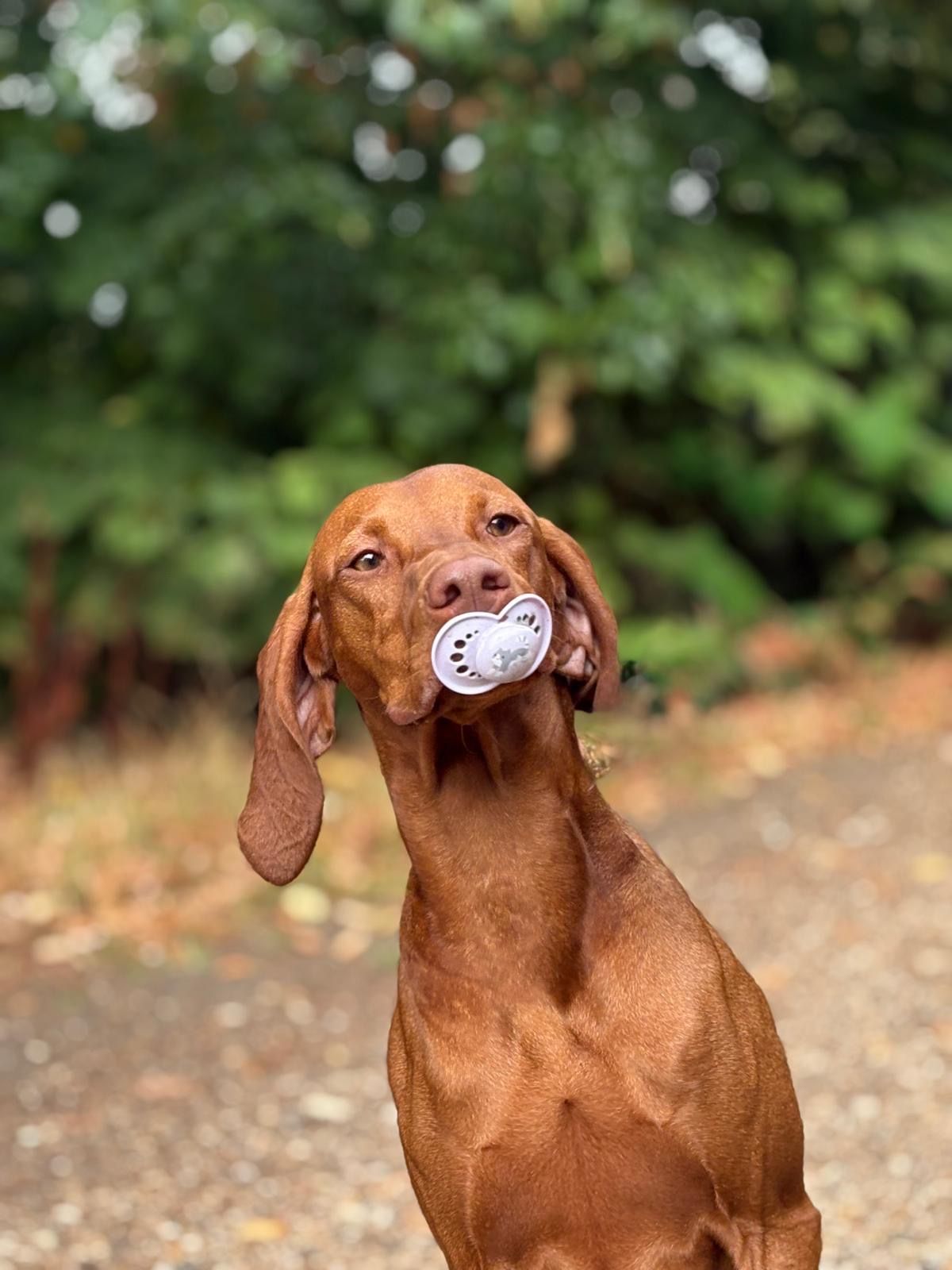 image-17