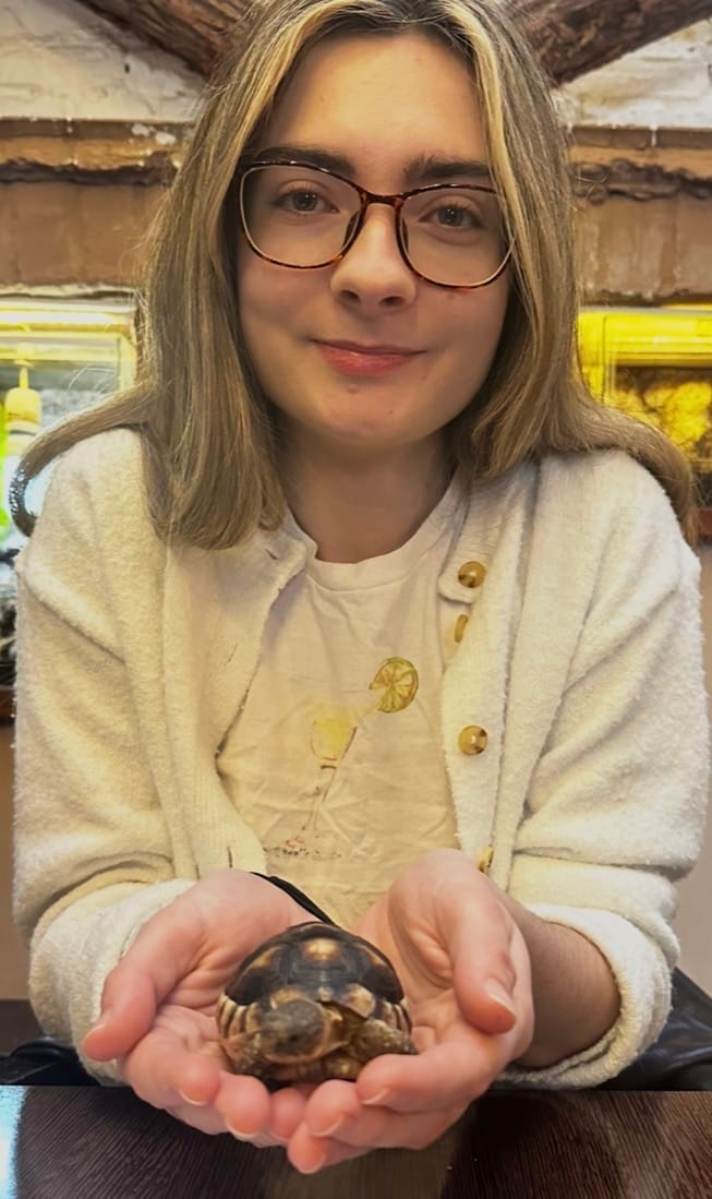 image-4