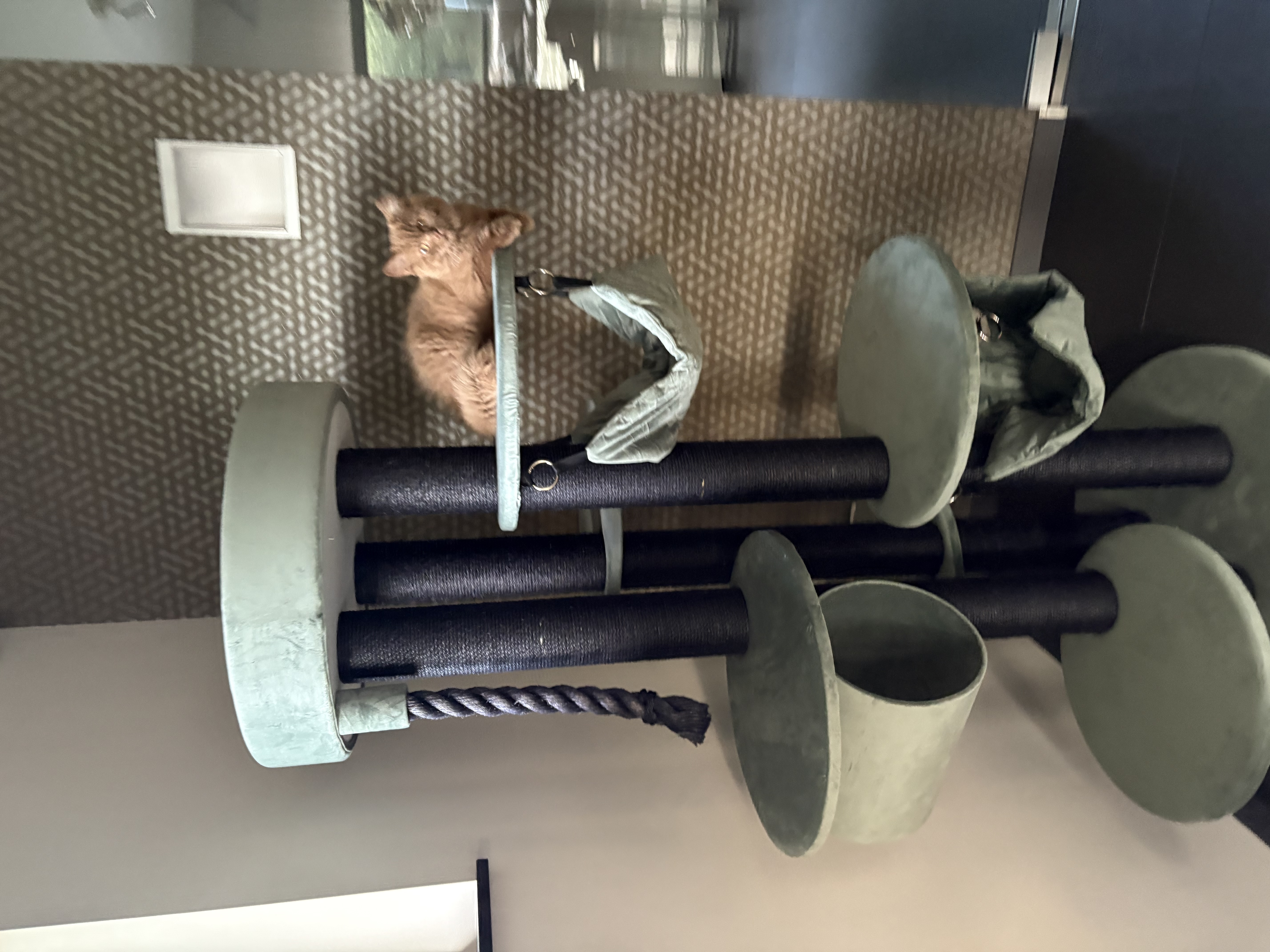 image-13