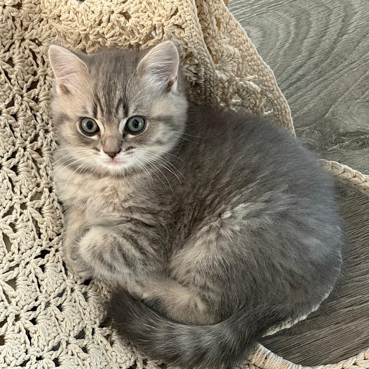 Milo