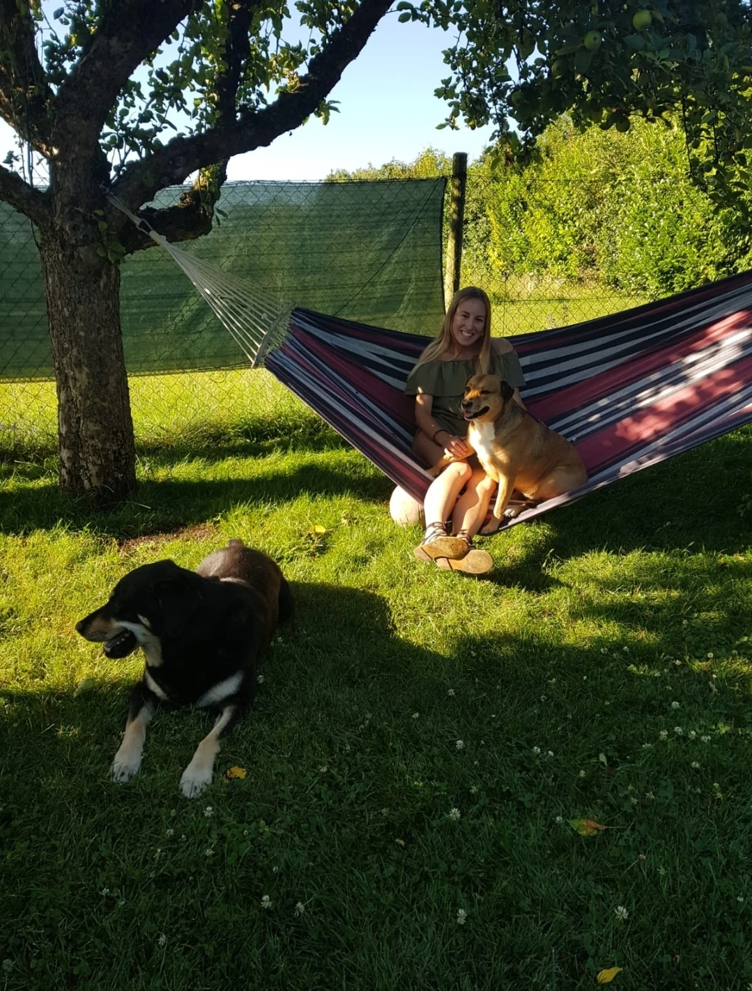 image-7