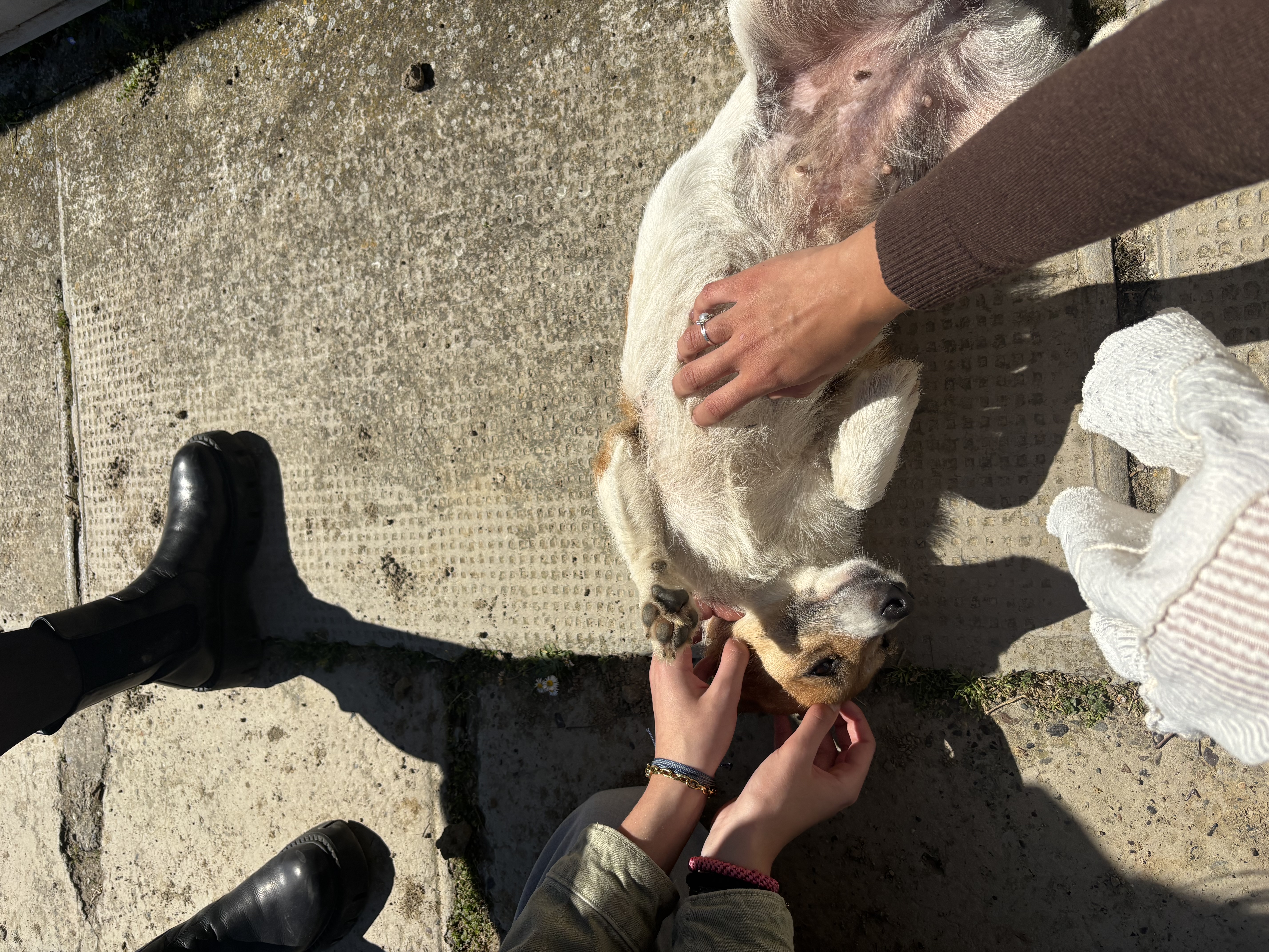 image-5