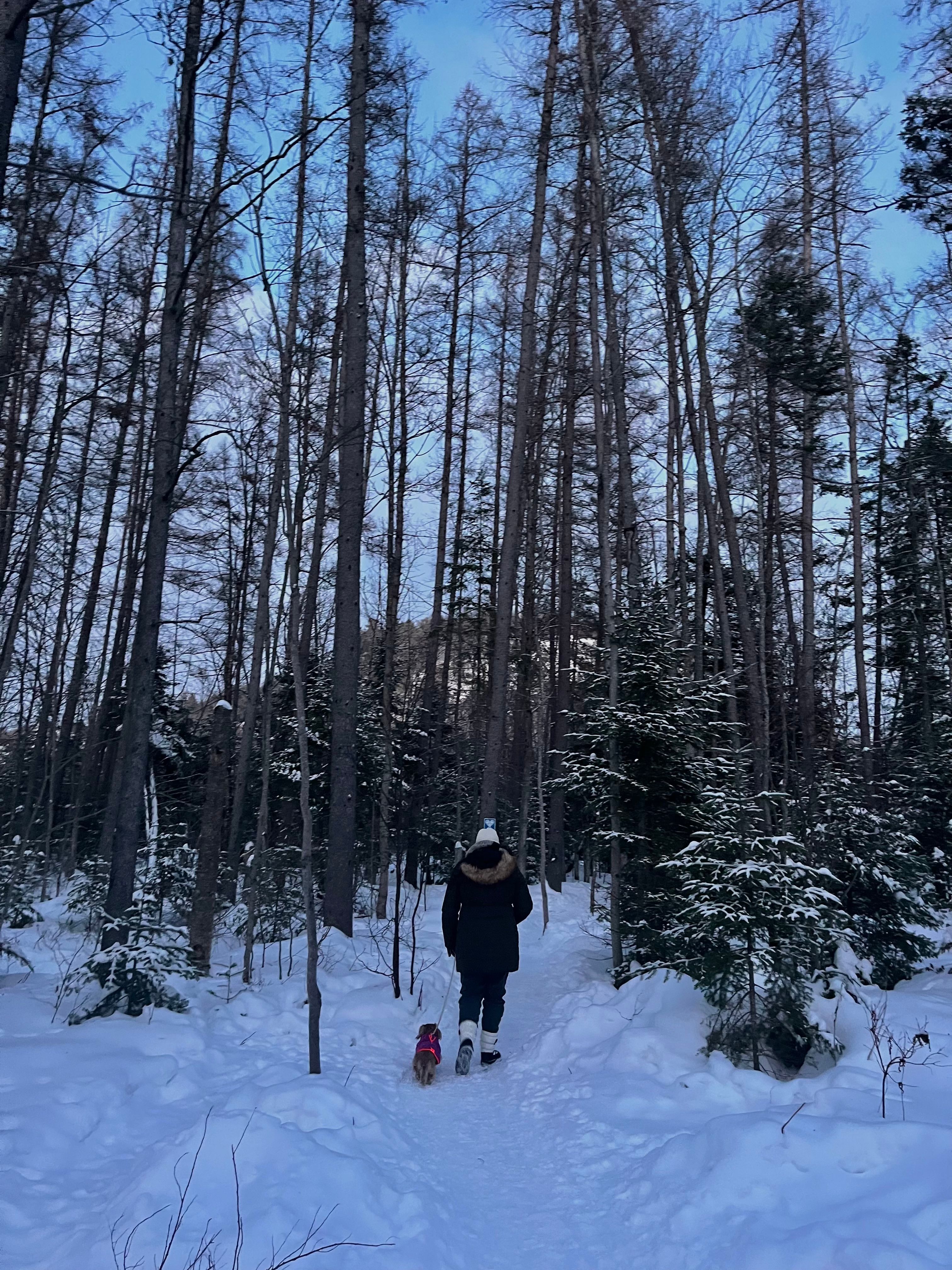 image-10