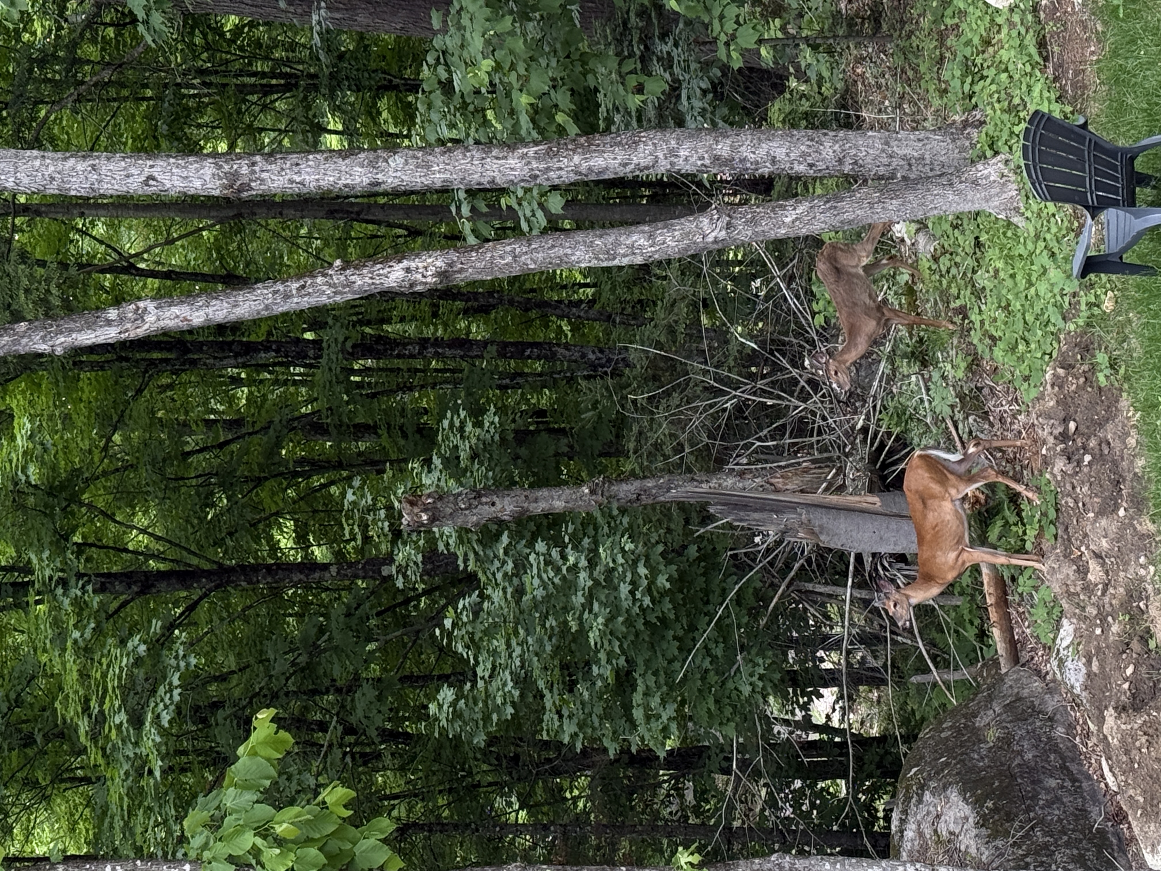 image-16