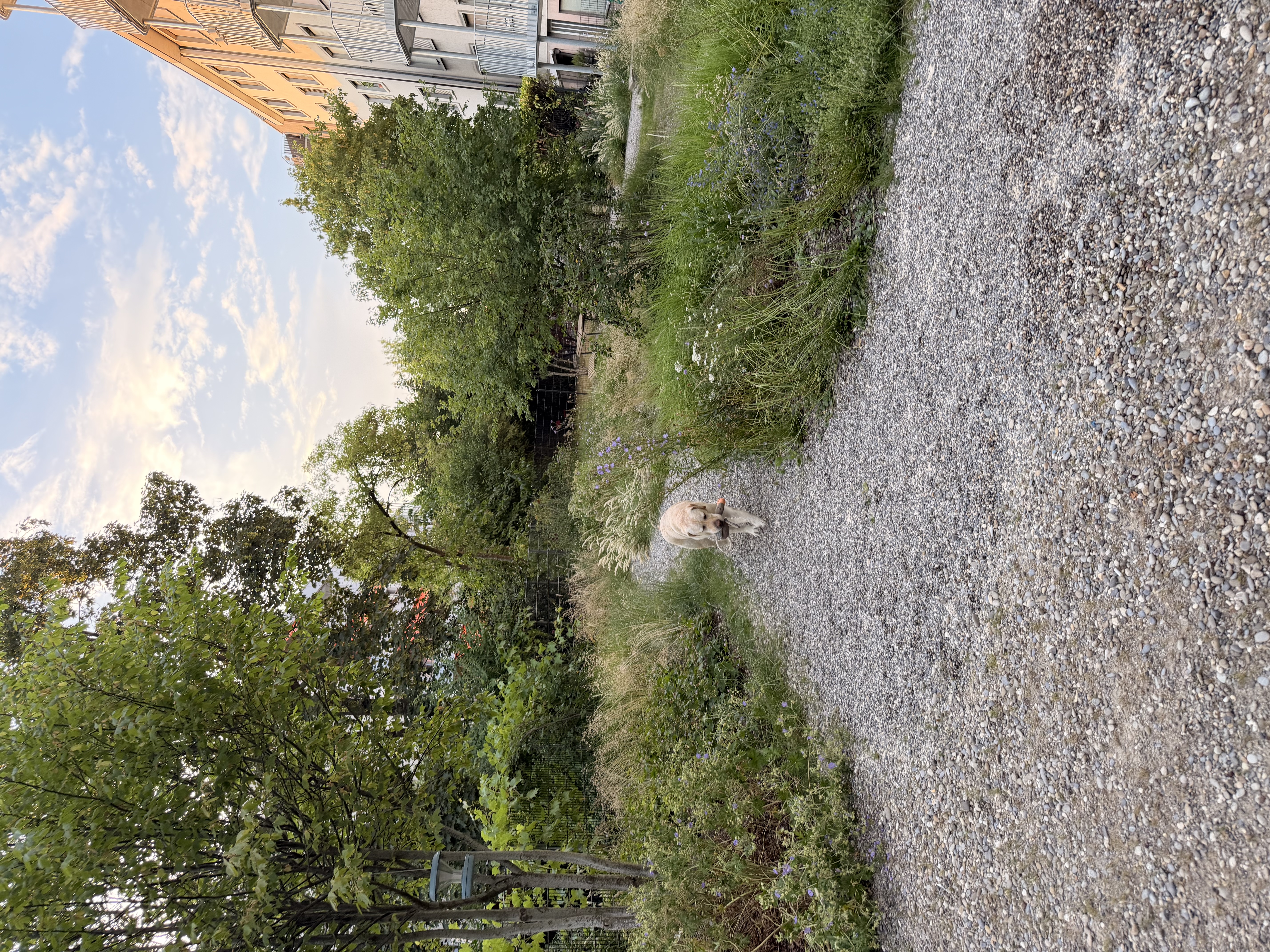 image-18