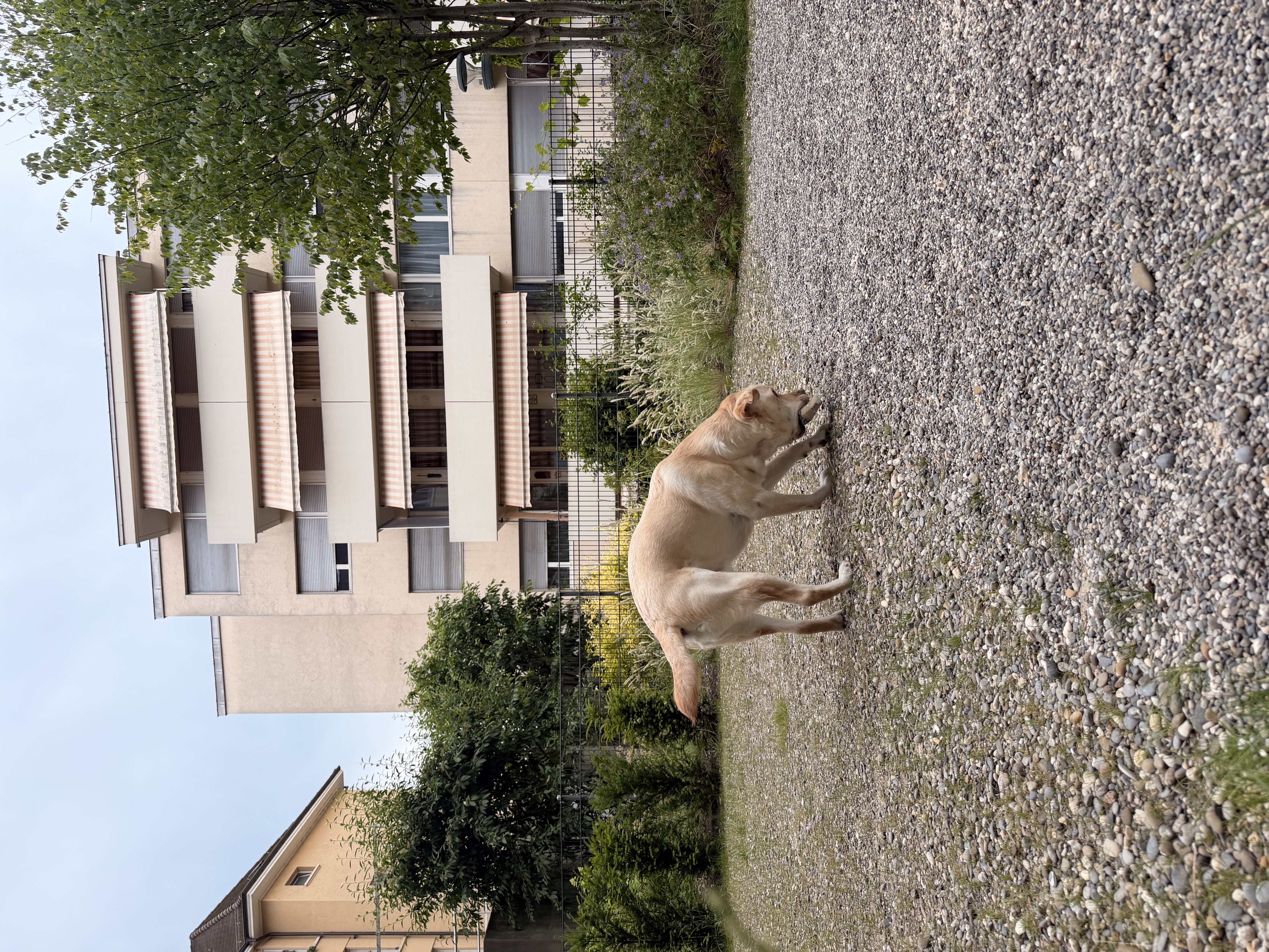 image-16