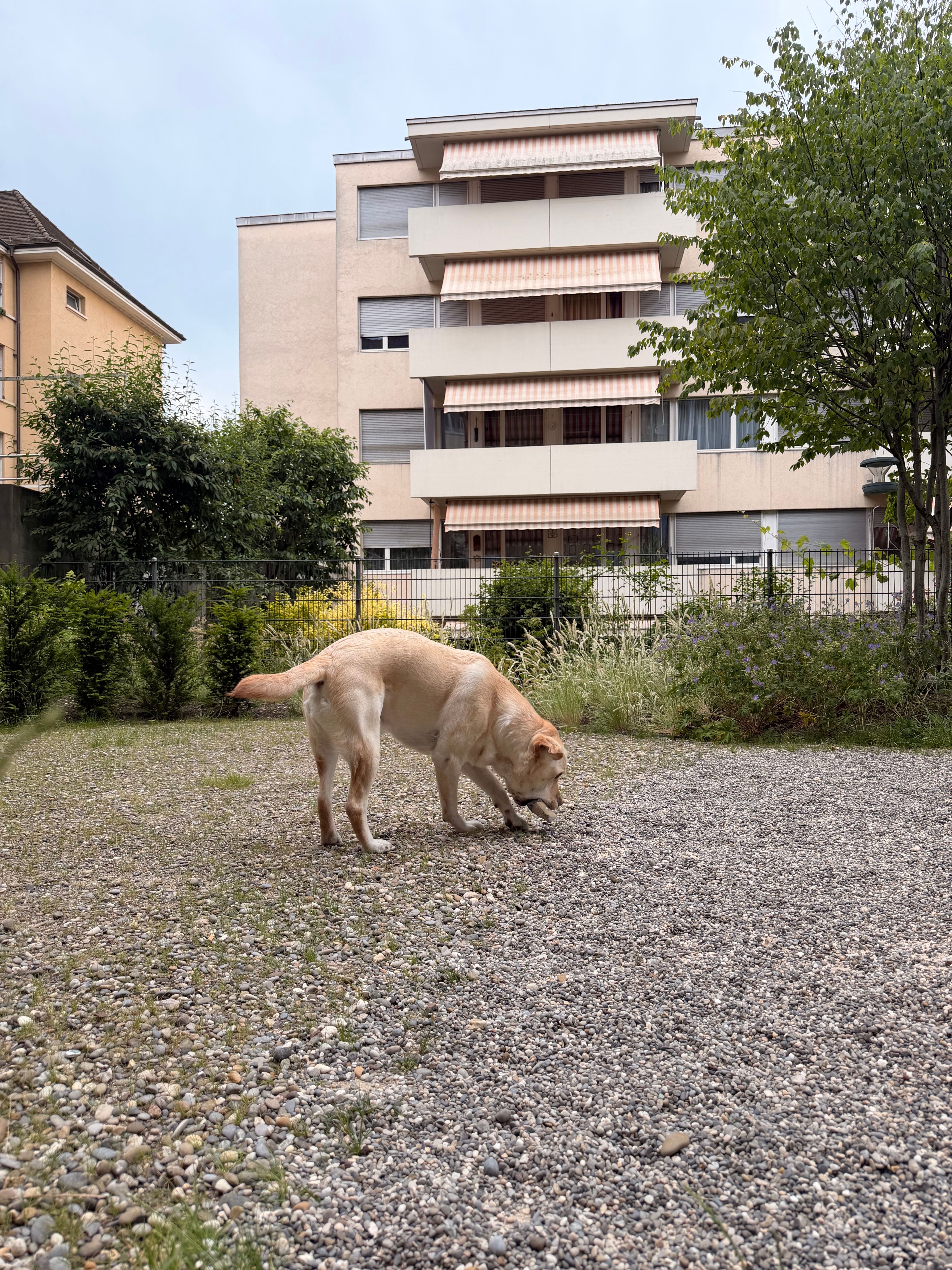 image-16