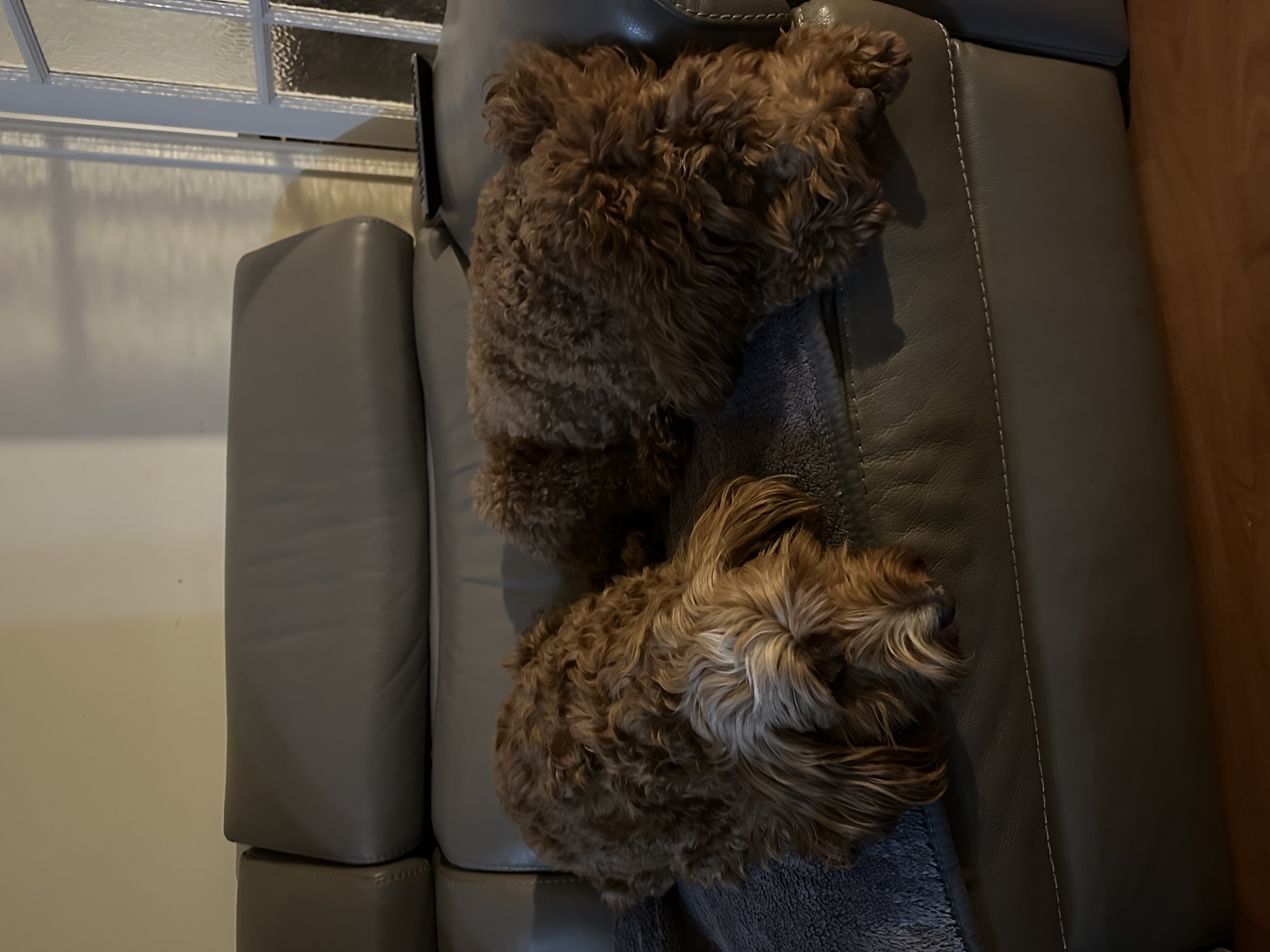 image-9