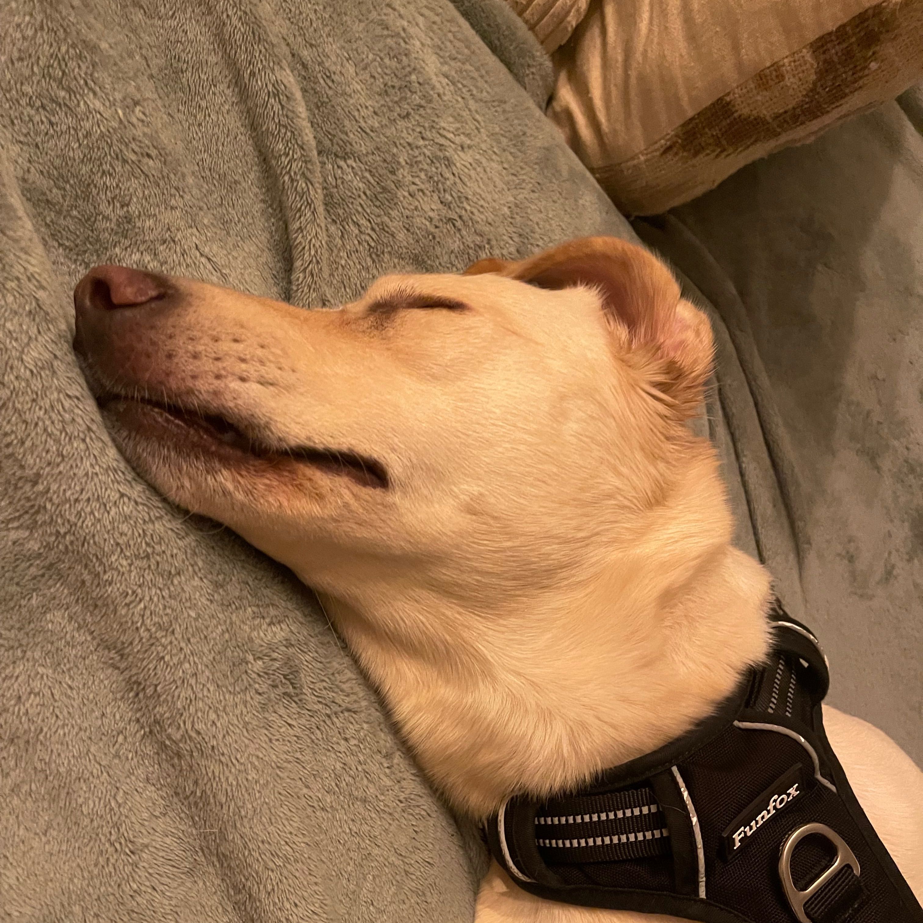 Lua