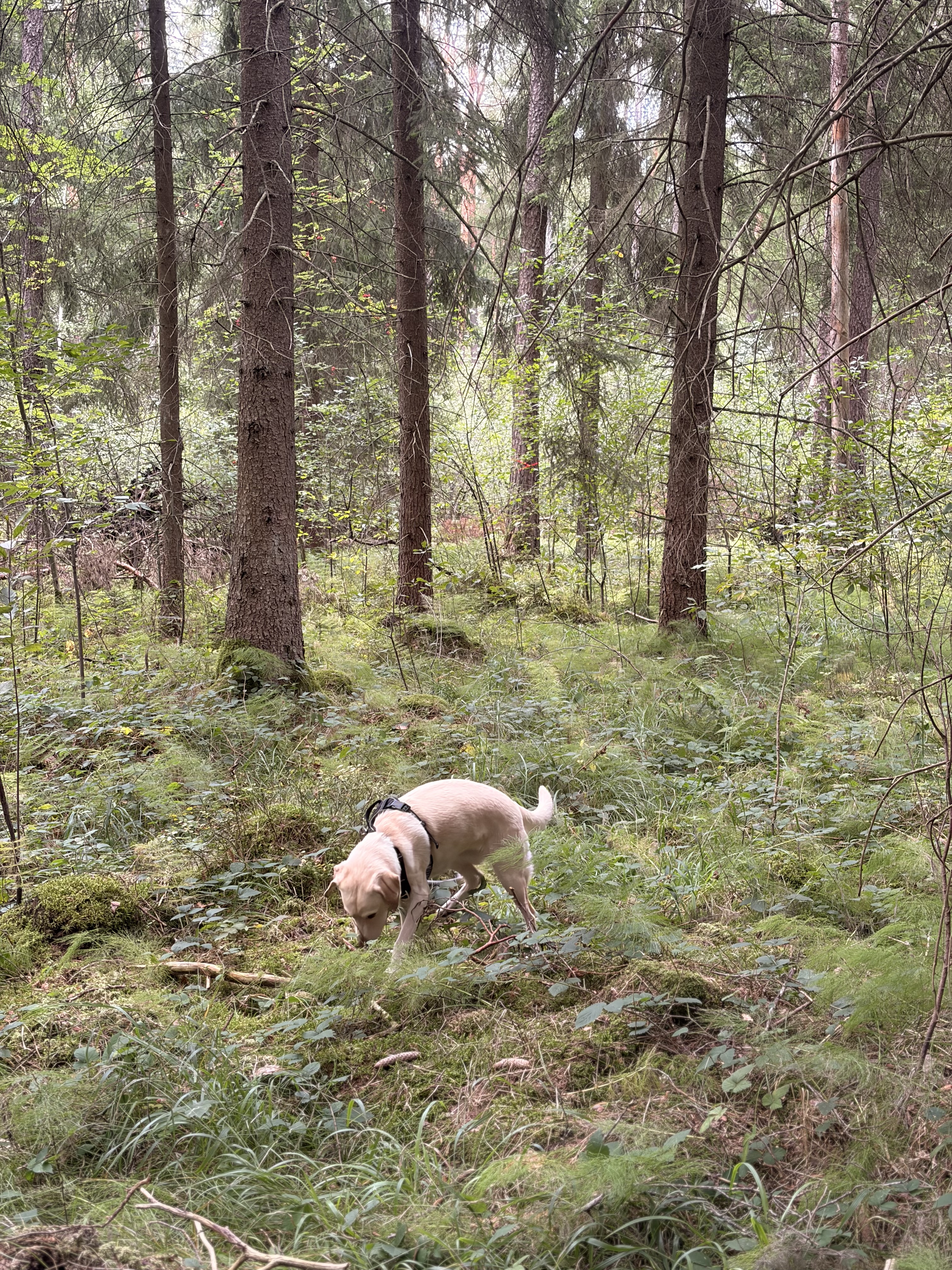 image-9