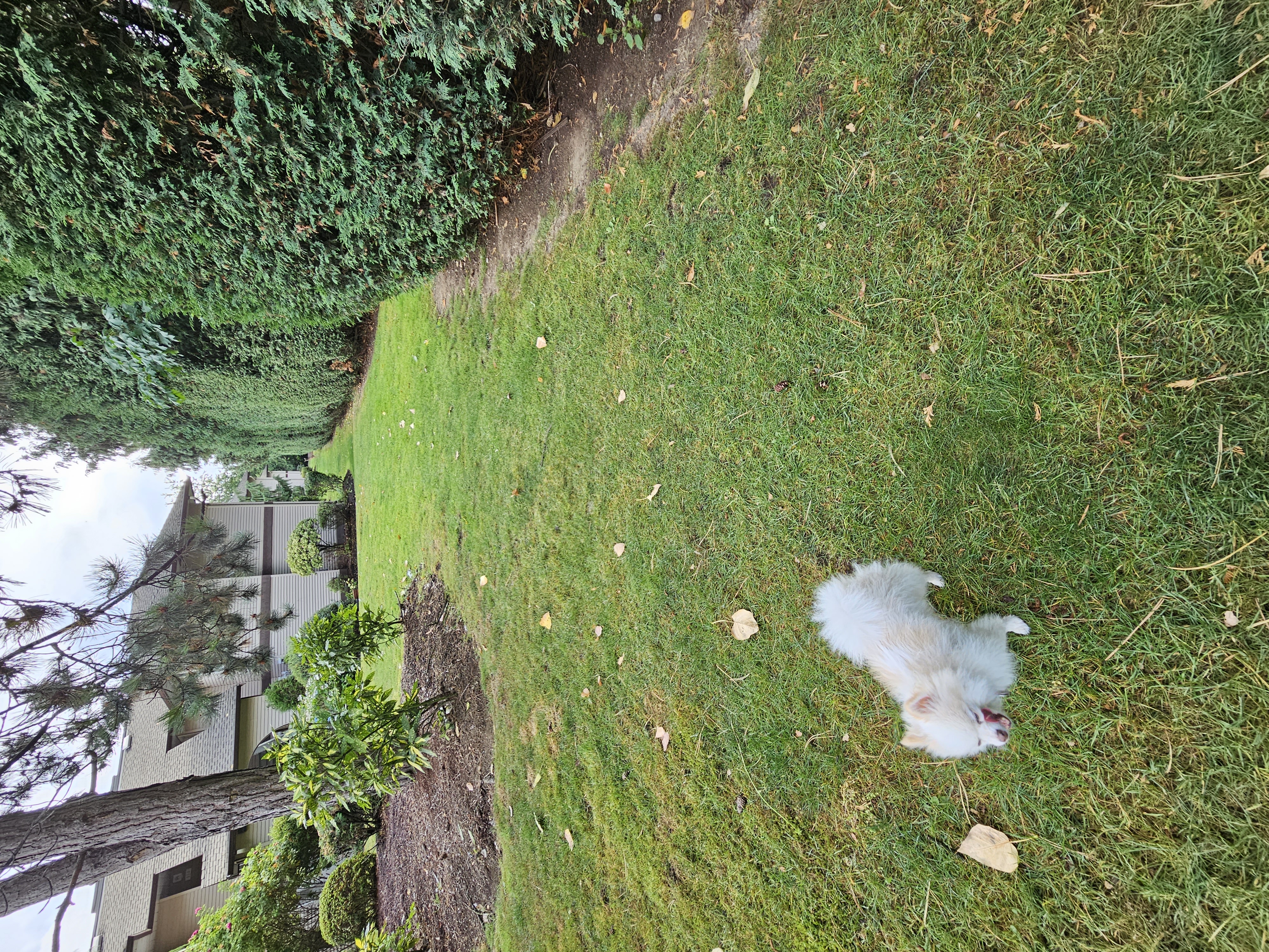 image-15