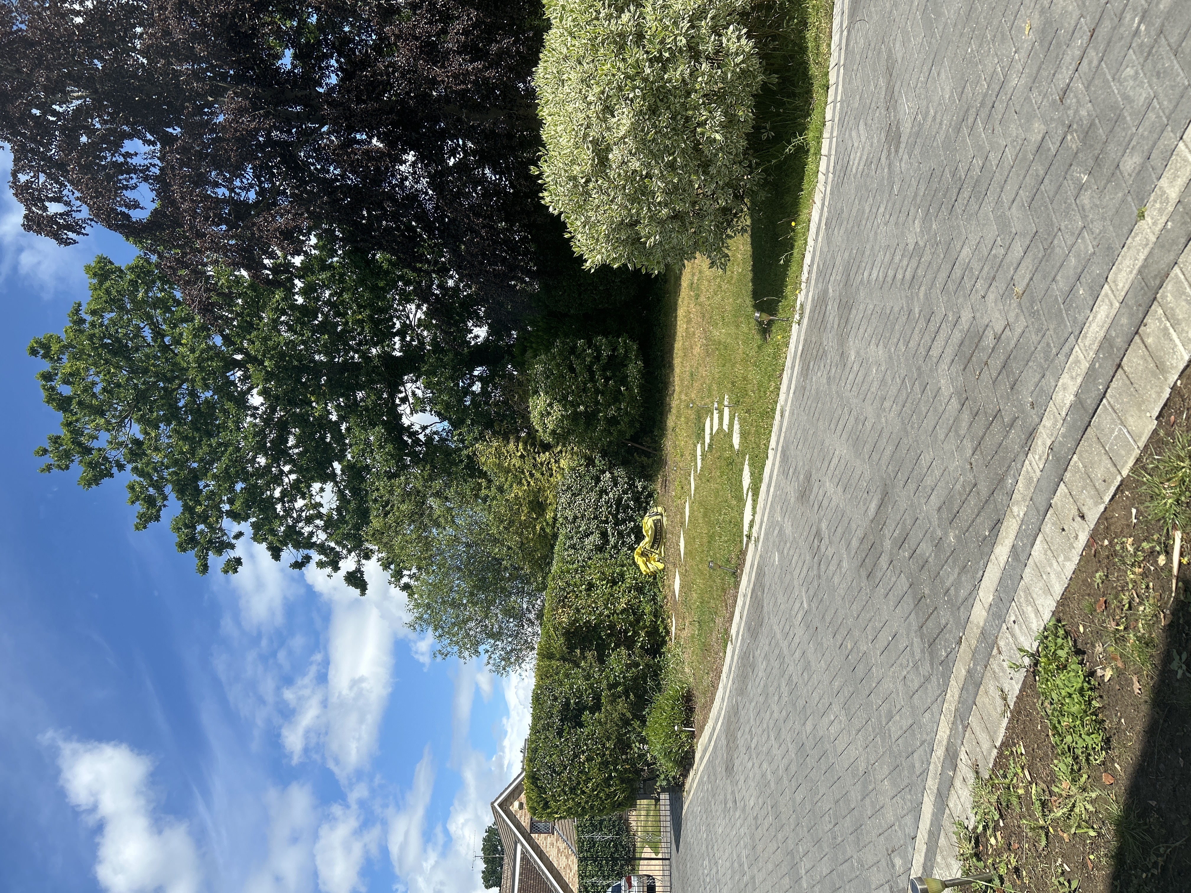 image-12