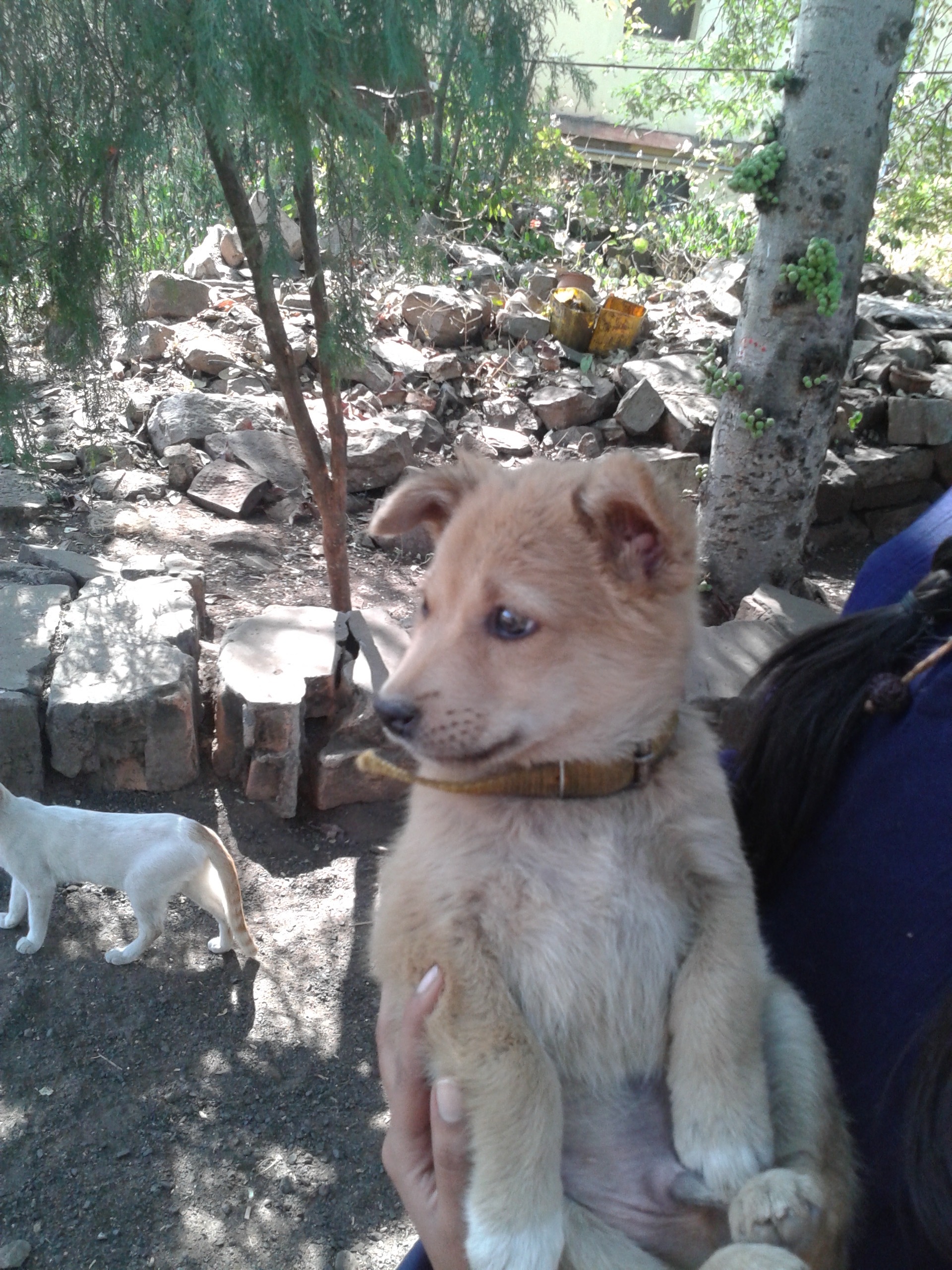 image-7