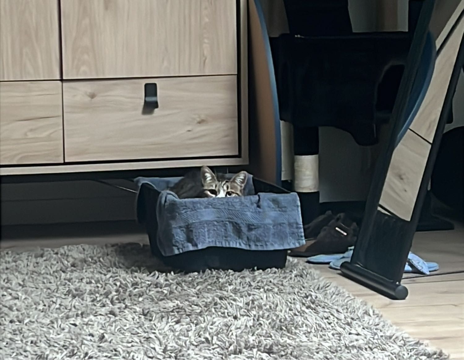 image-4