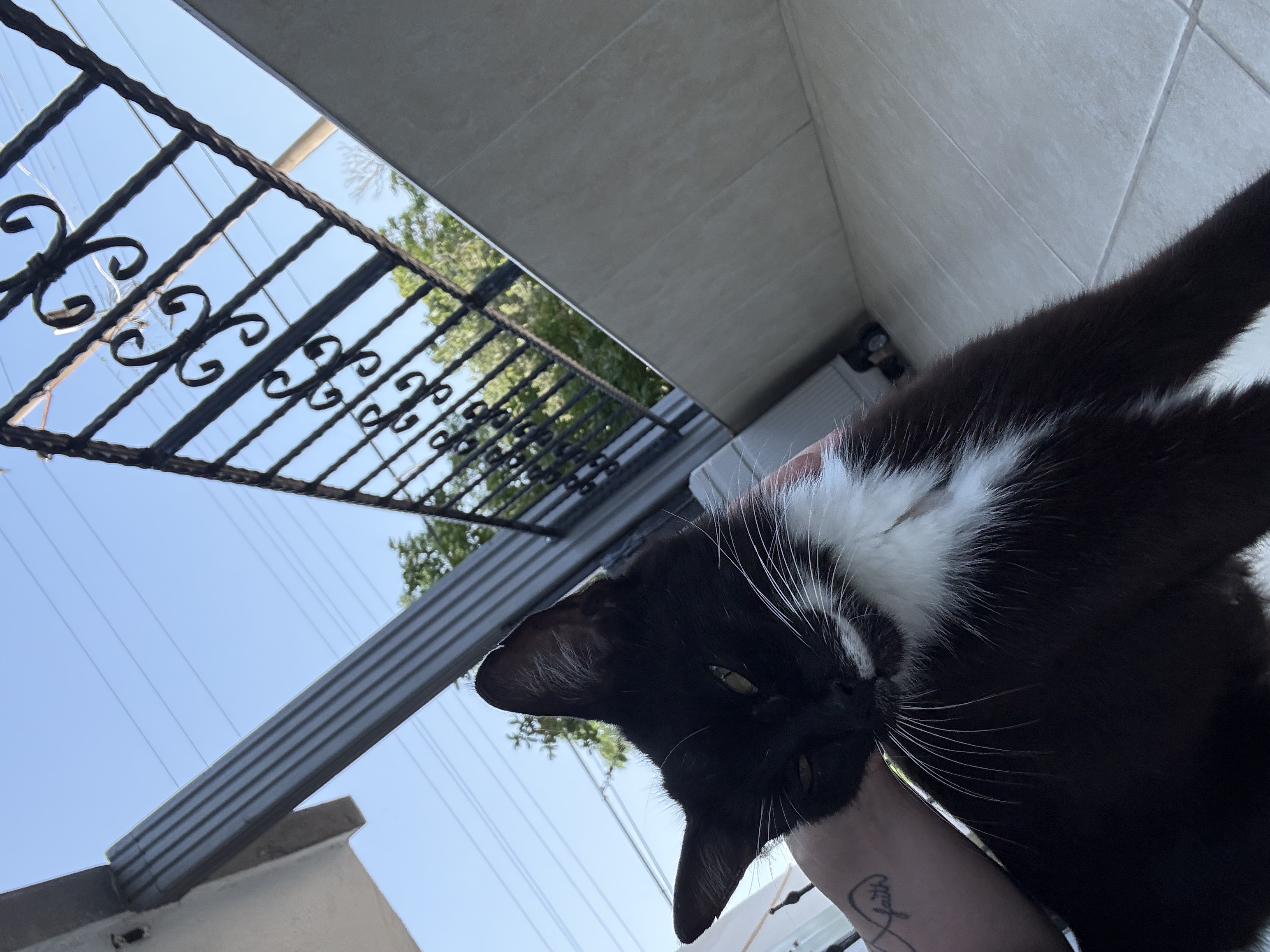 image-6