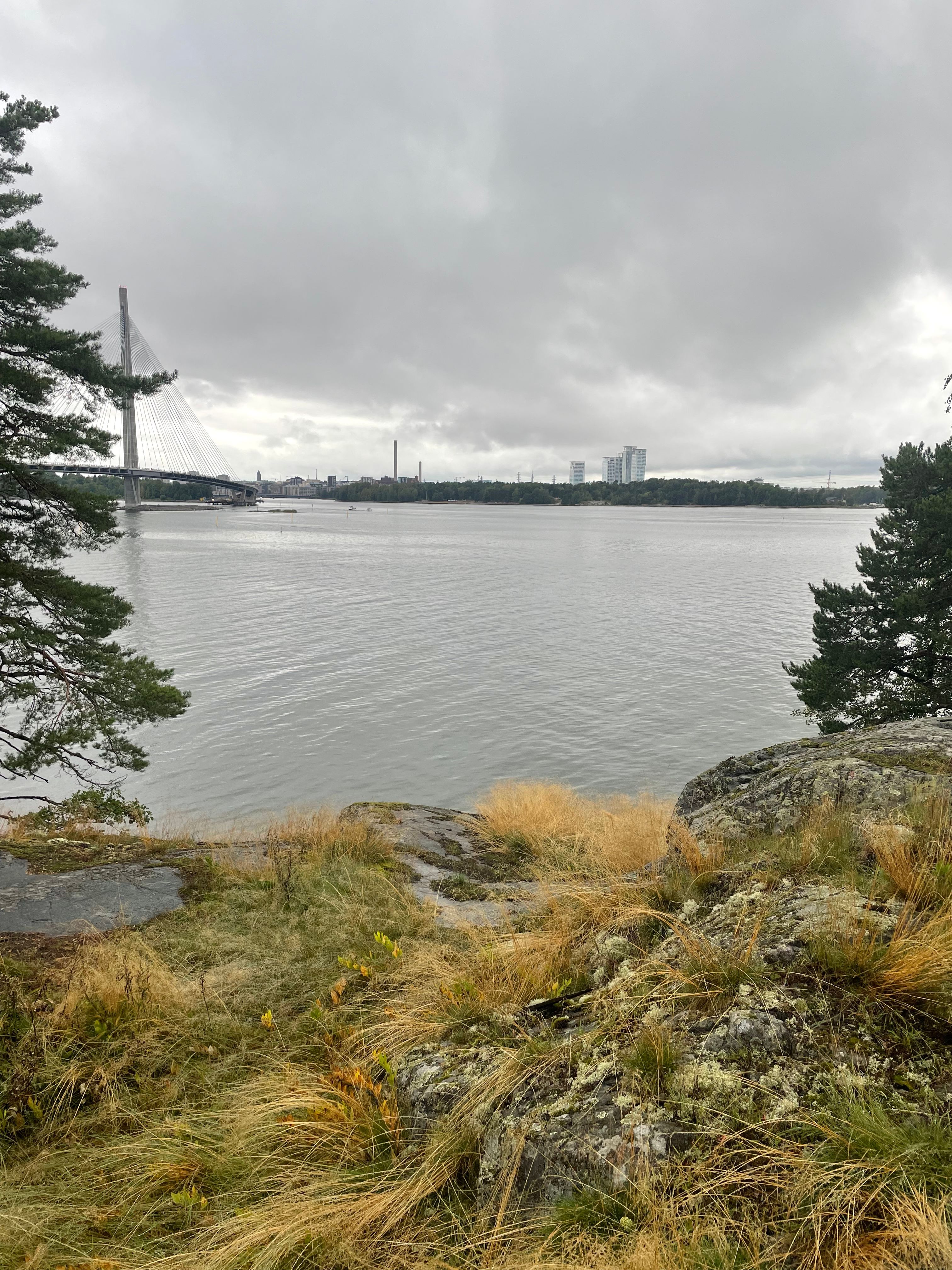 image-14