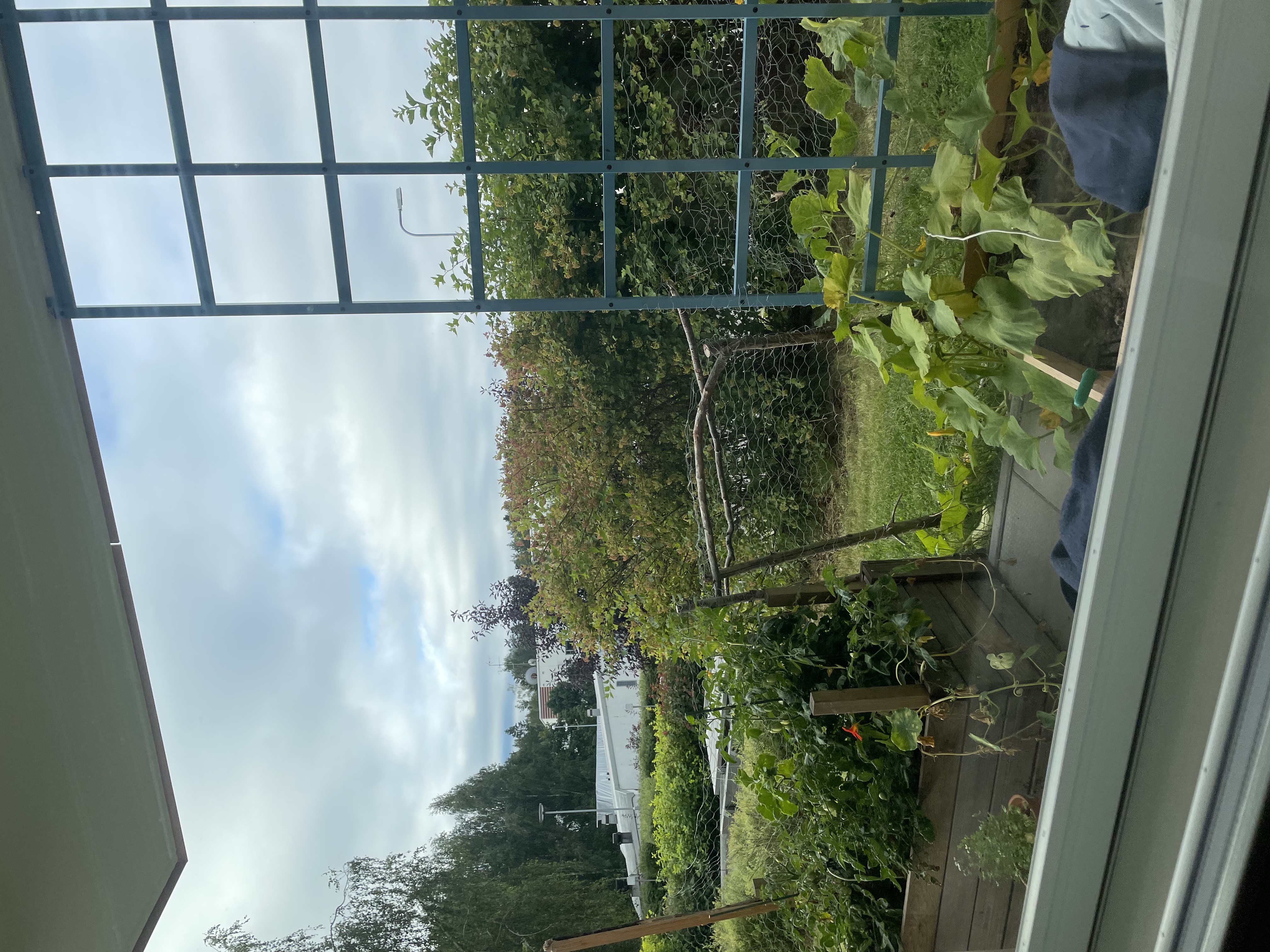image-13