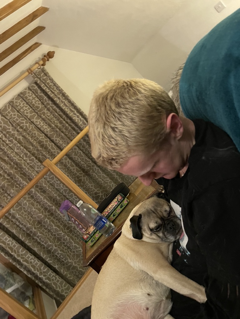 image-8