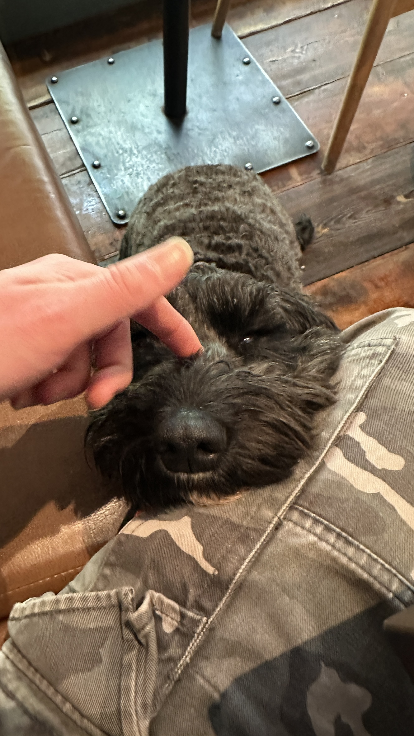 image-6