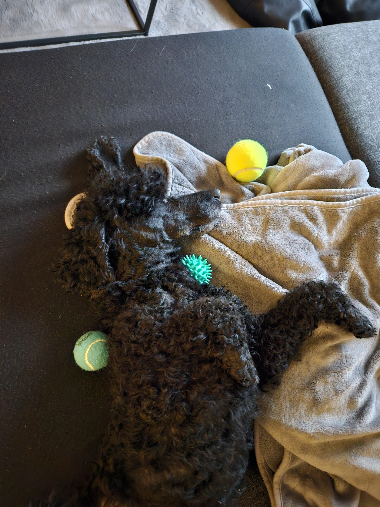 image-7