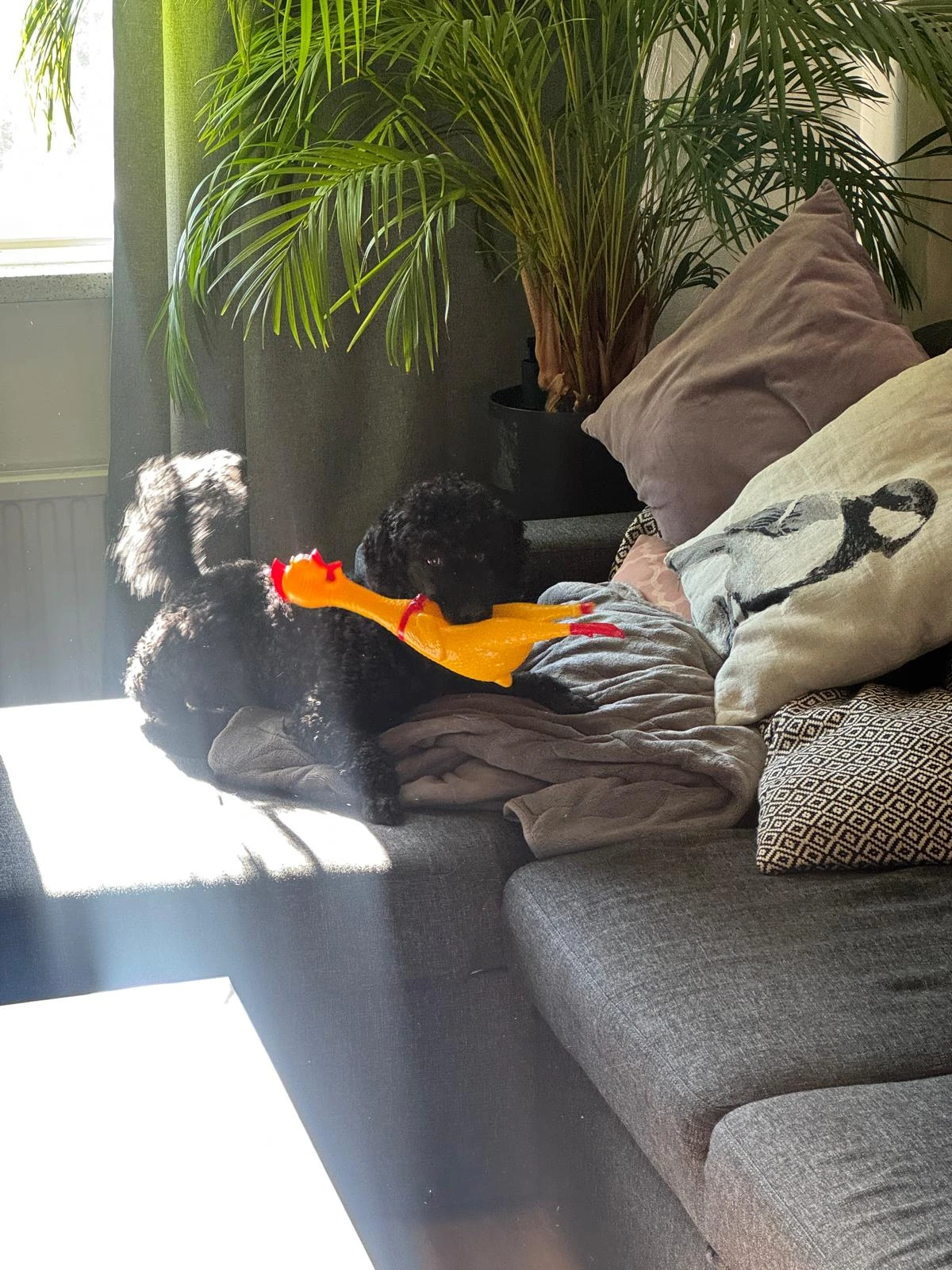 image-13