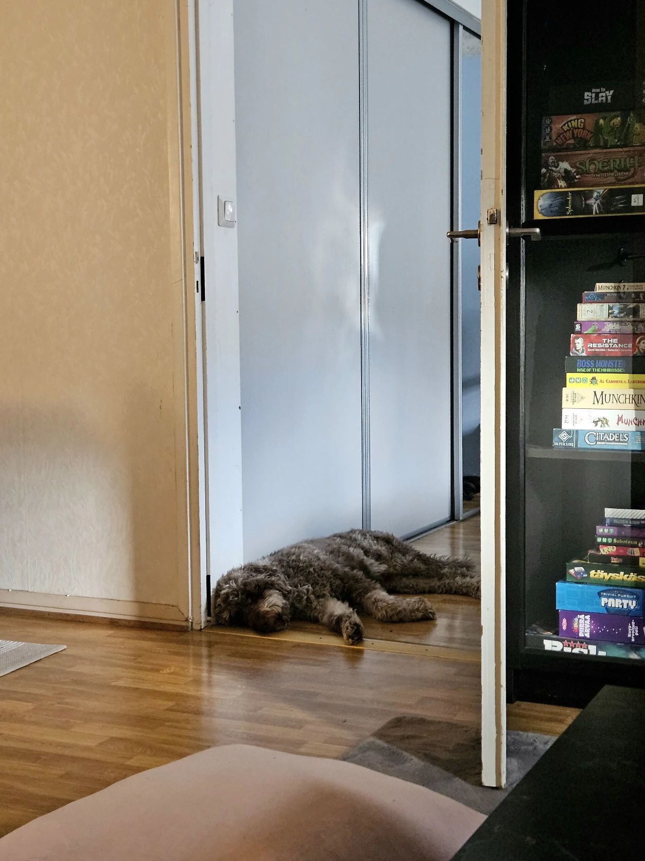 image-11