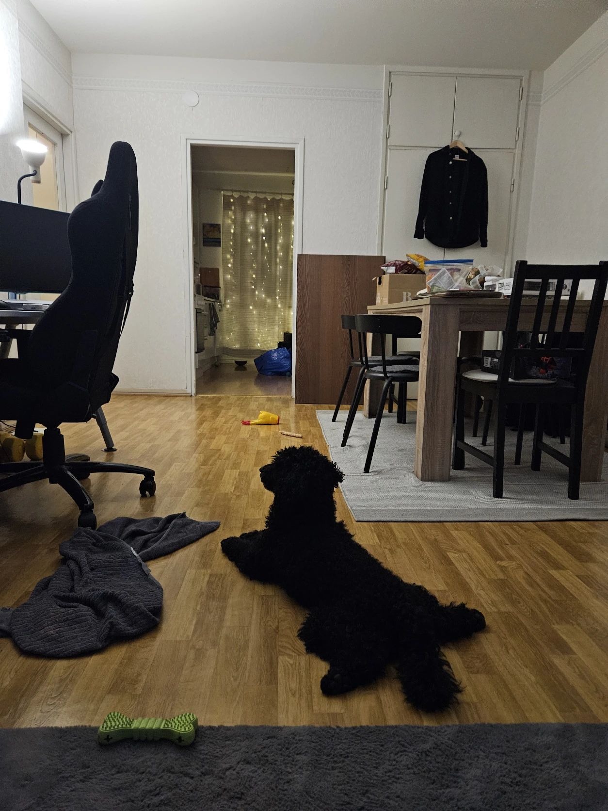 image-7