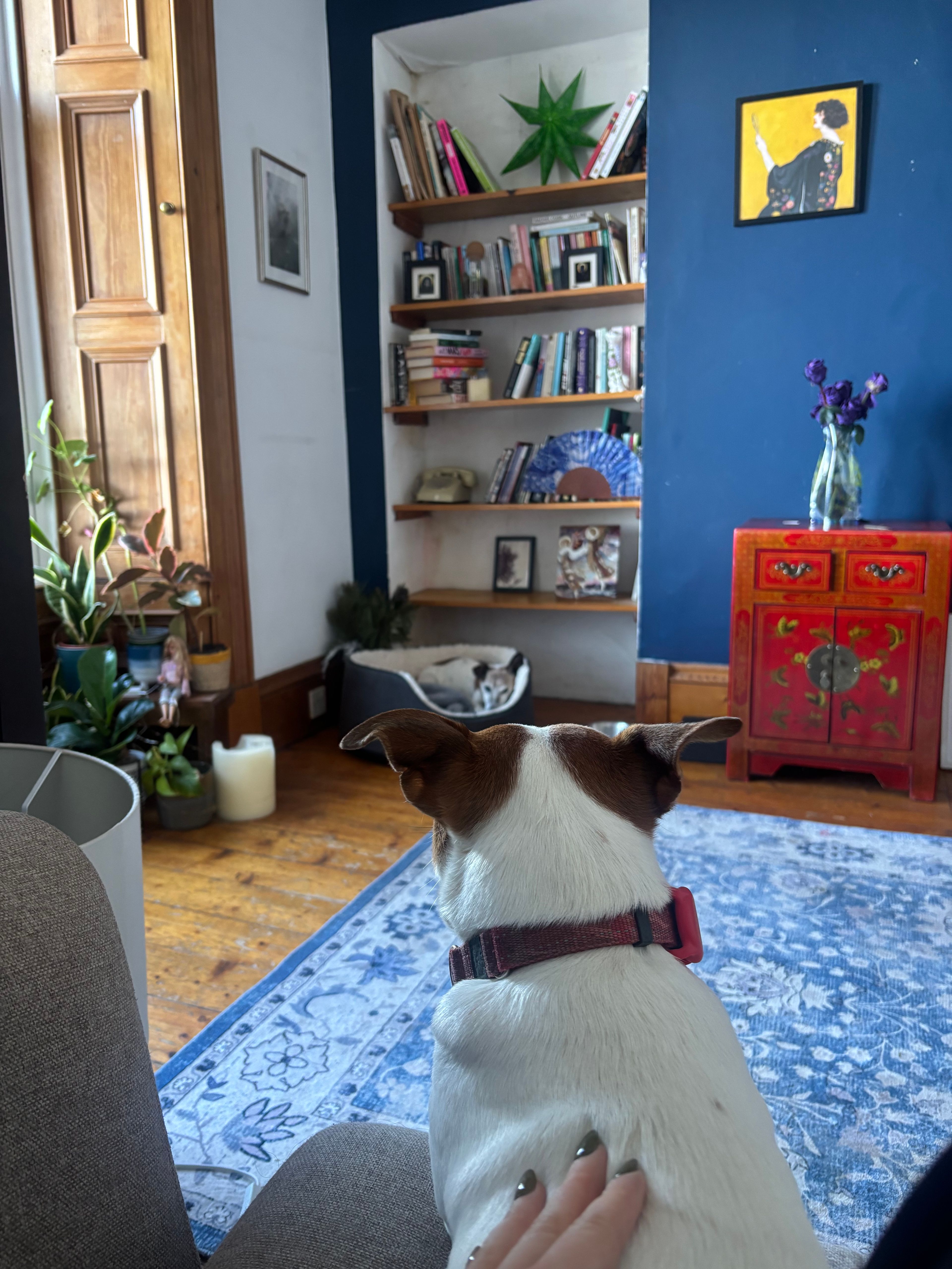 image-18