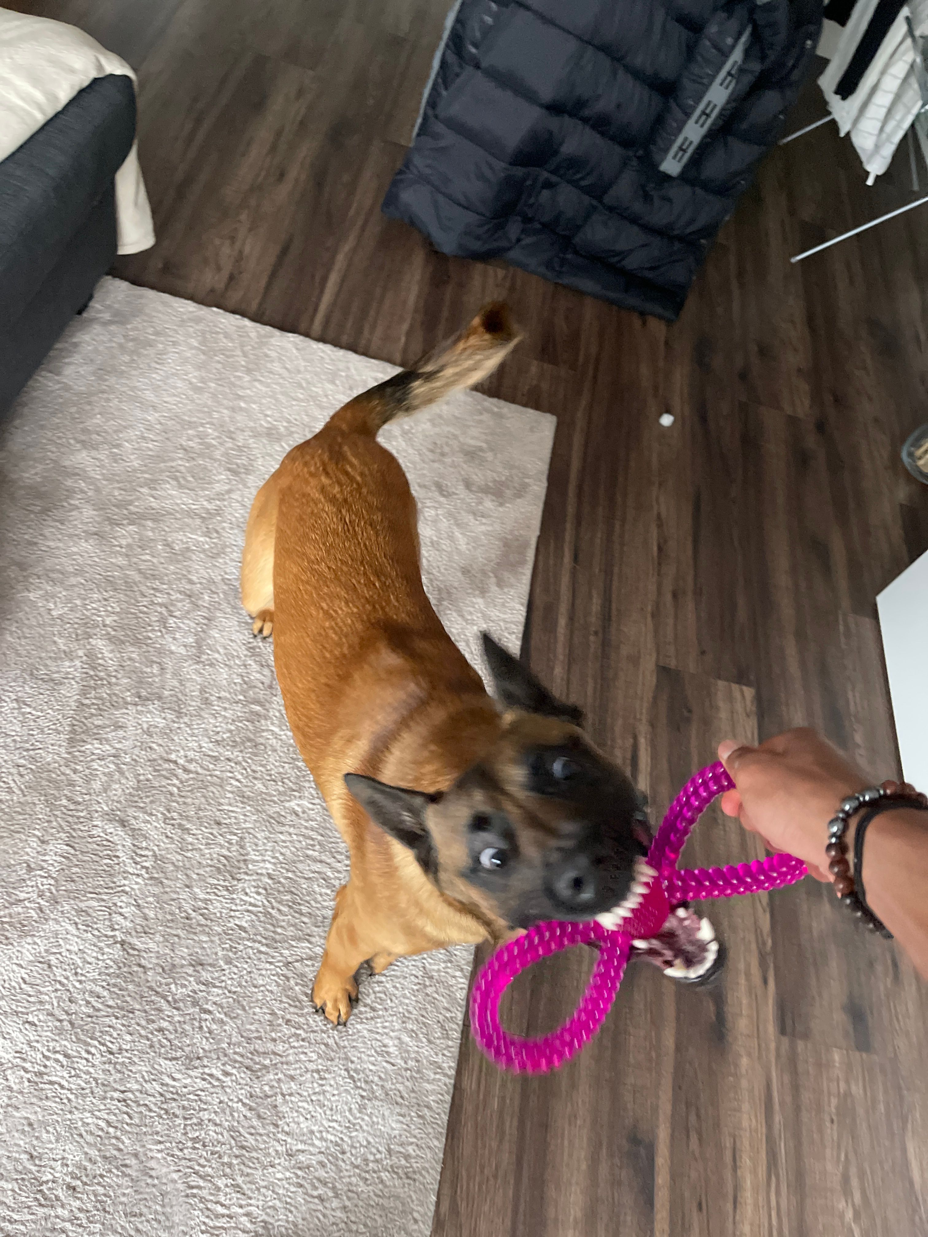 image-6