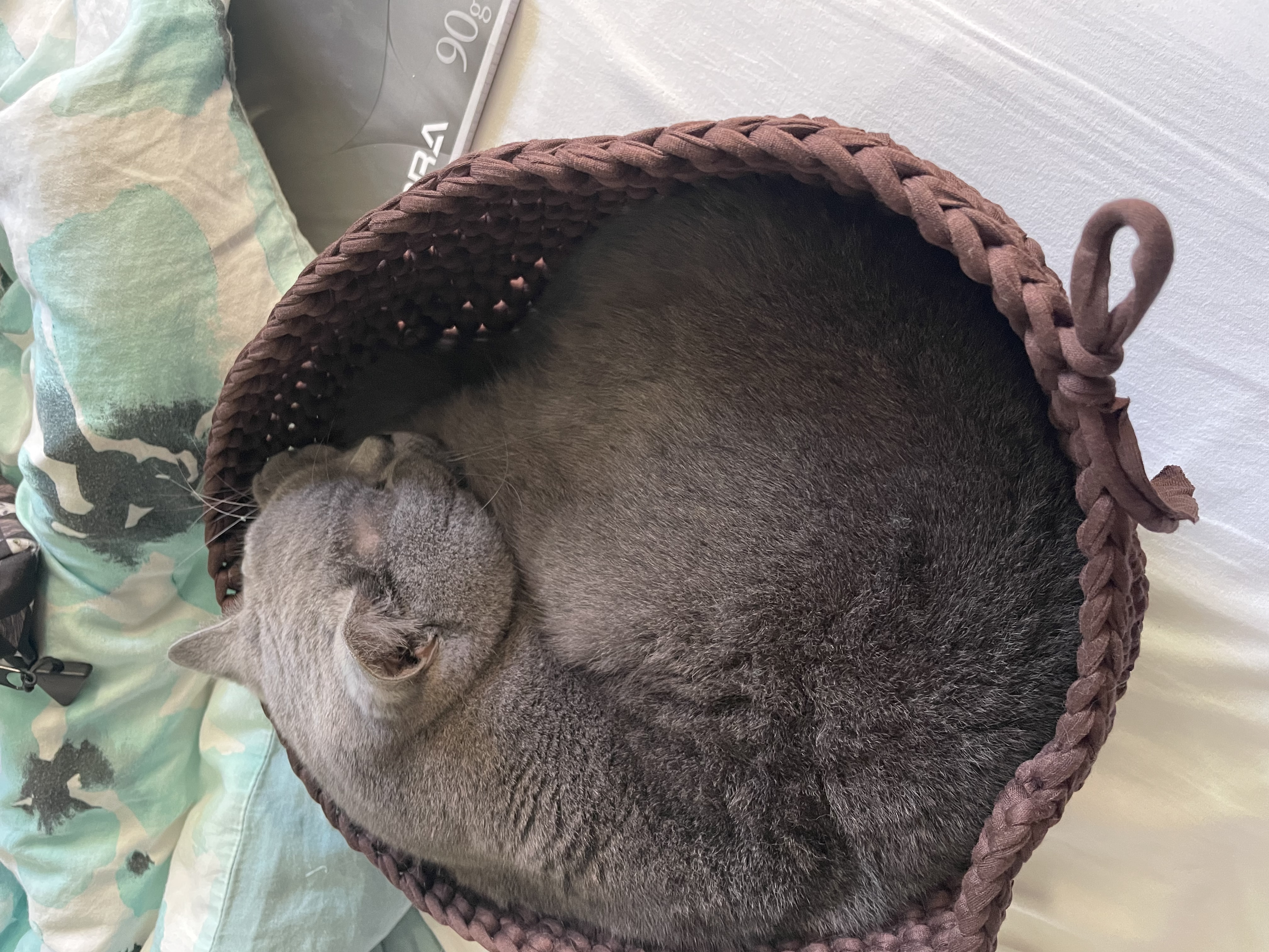 image-6