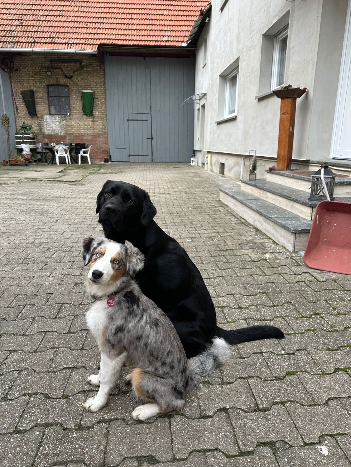 image-5